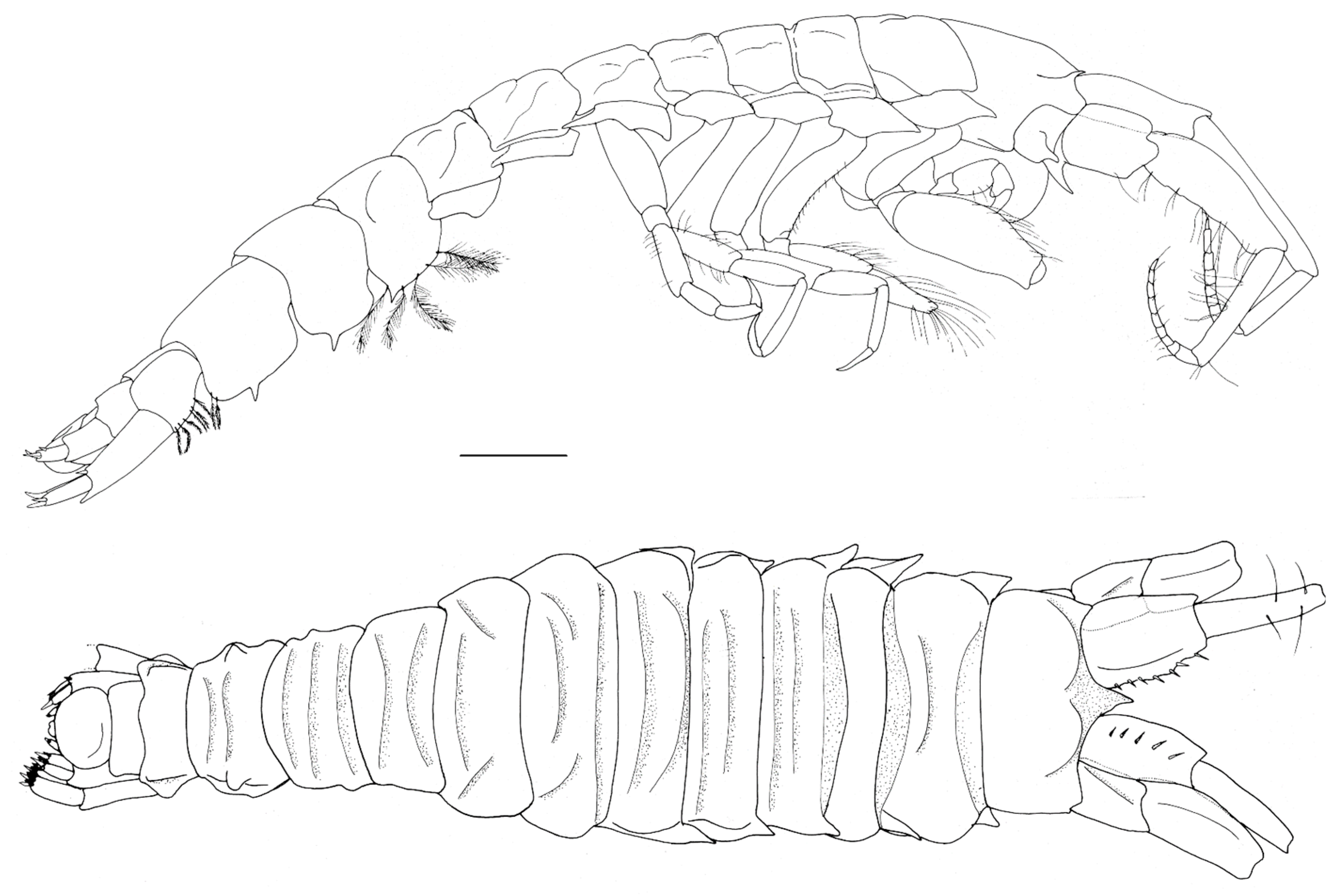 Diversity 15 00546 g004