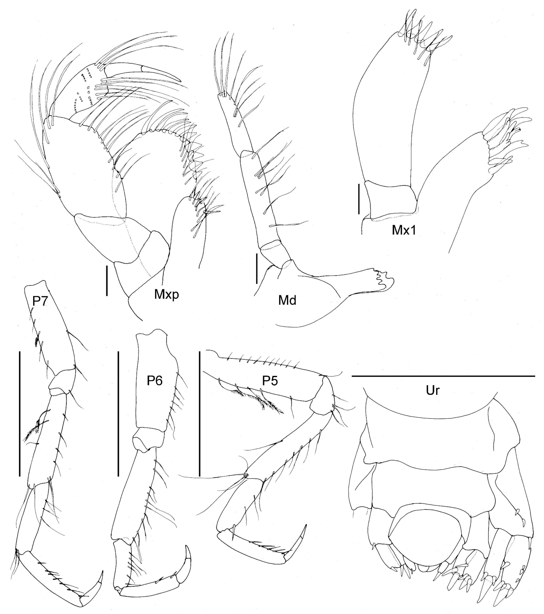 Diversity 15 00546 g005