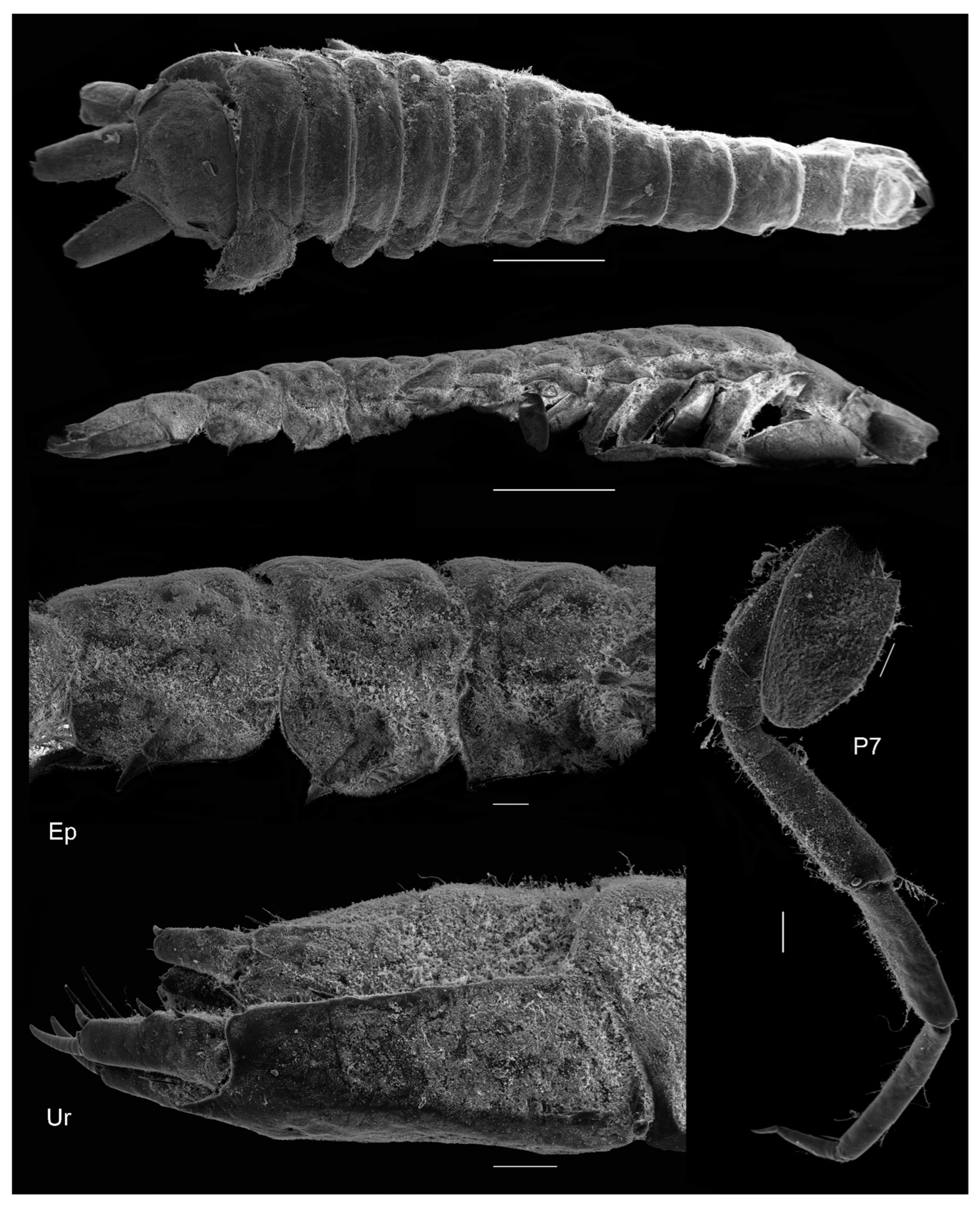 Diversity 15 00546 g007