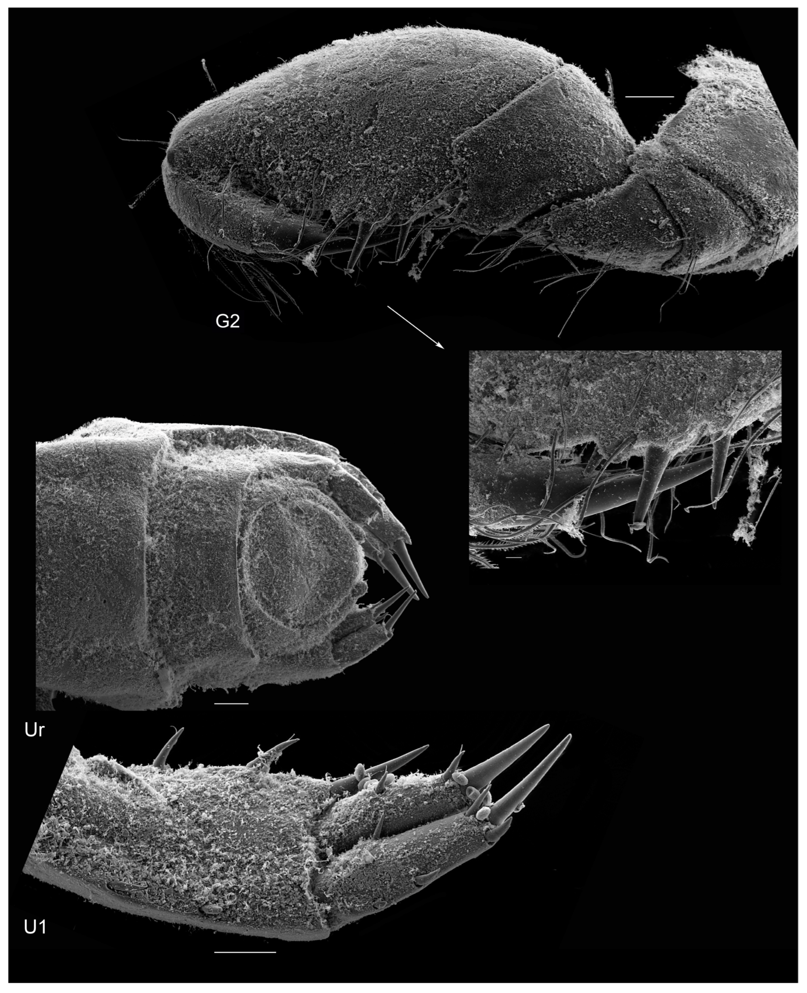 Diversity 15 00546 g009