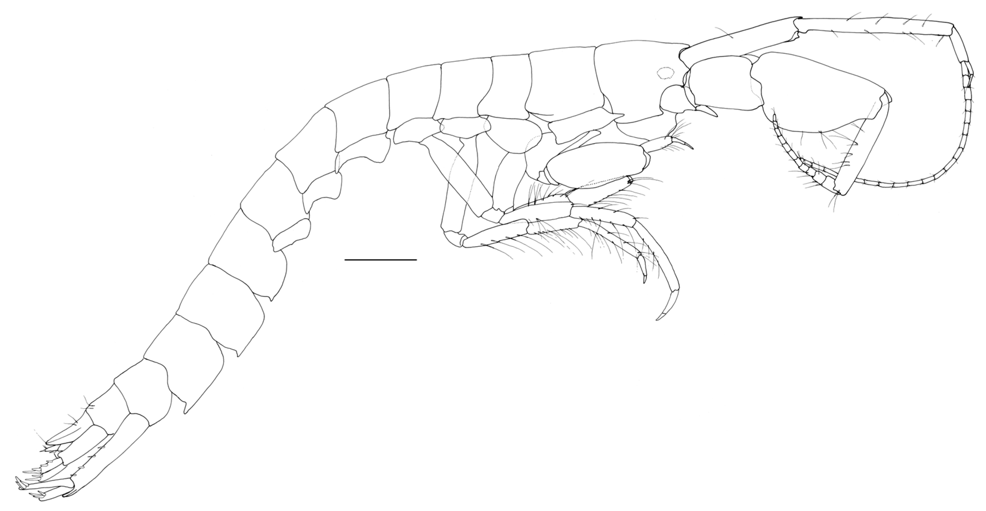 Diversity 15 00546 g011