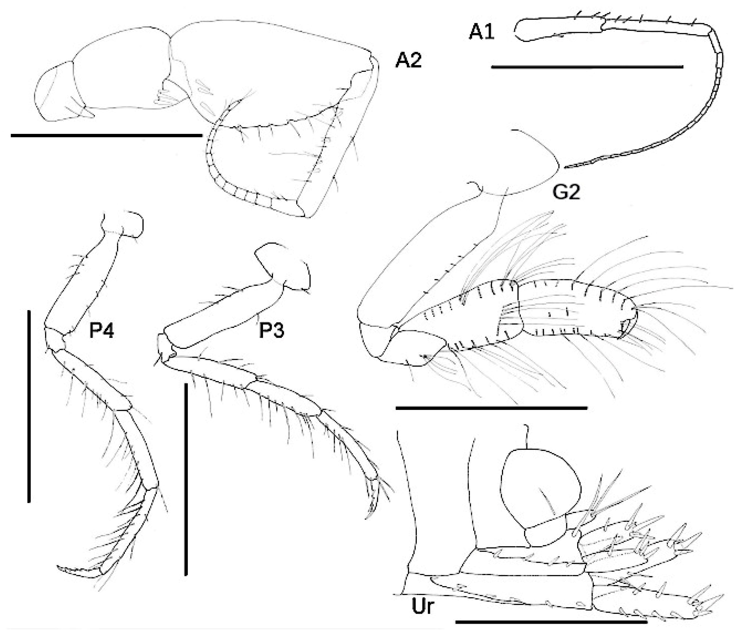 Diversity 15 00546 g012