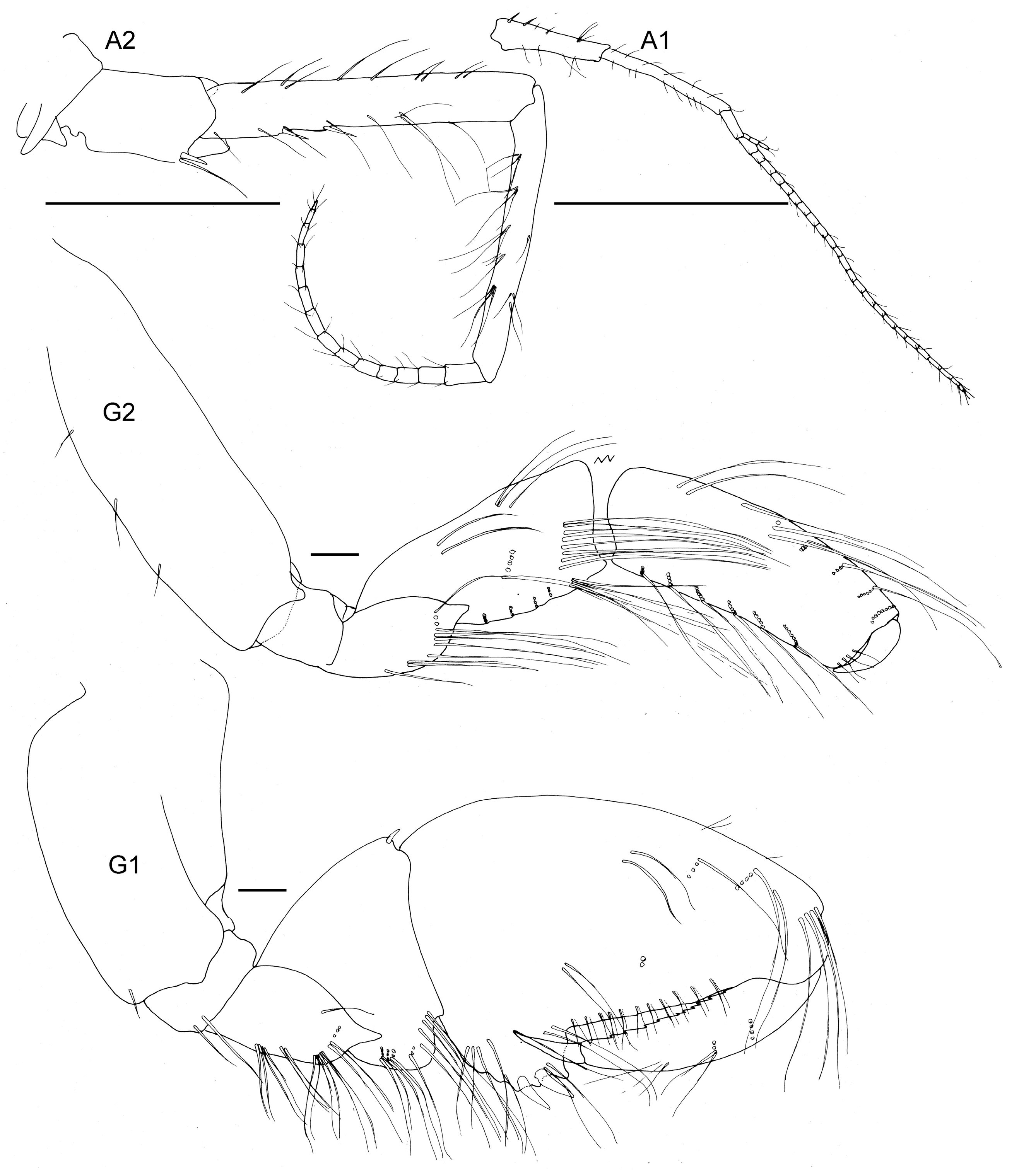 Diversity 15 00546 g014