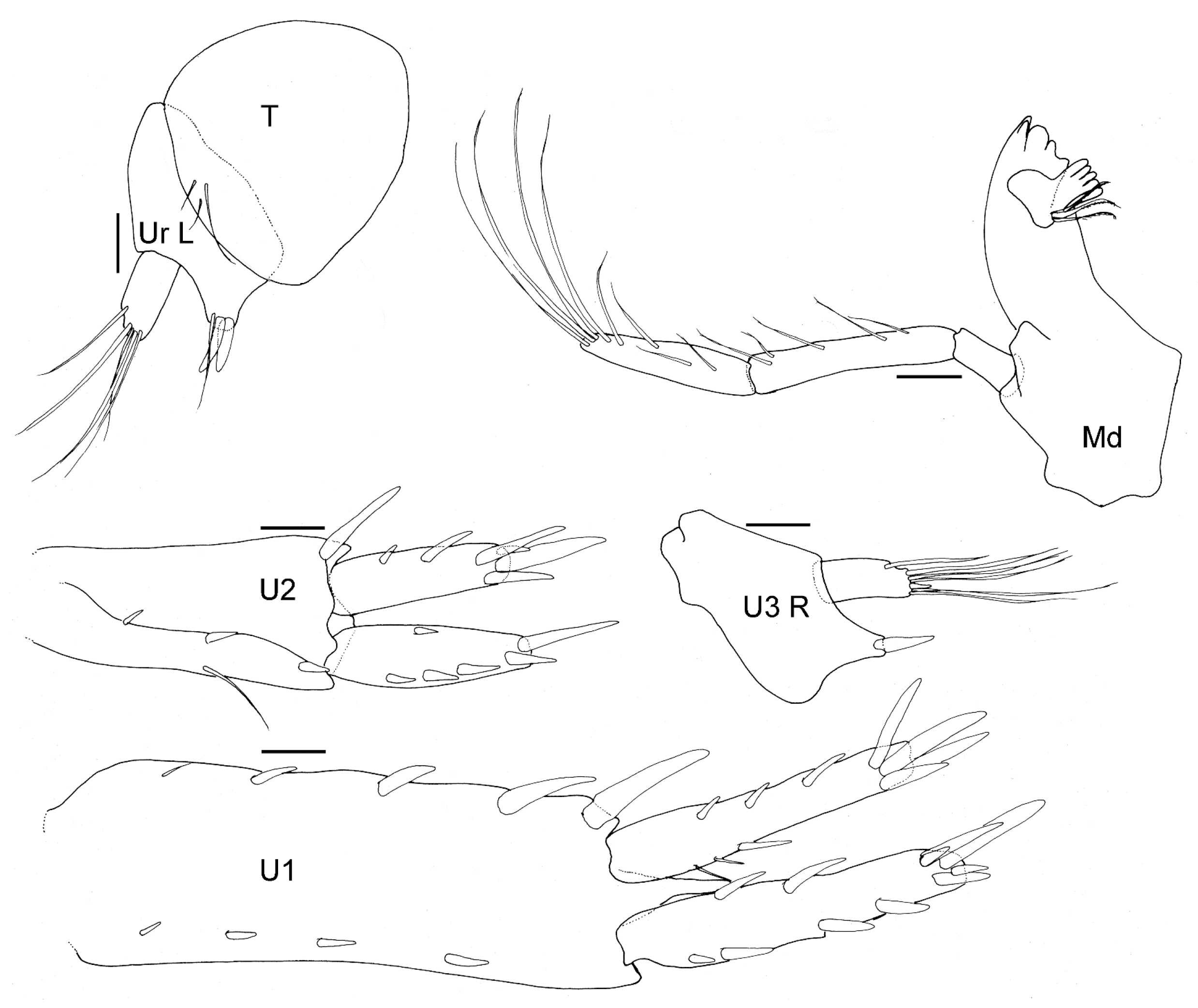 Diversity 15 00546 g015