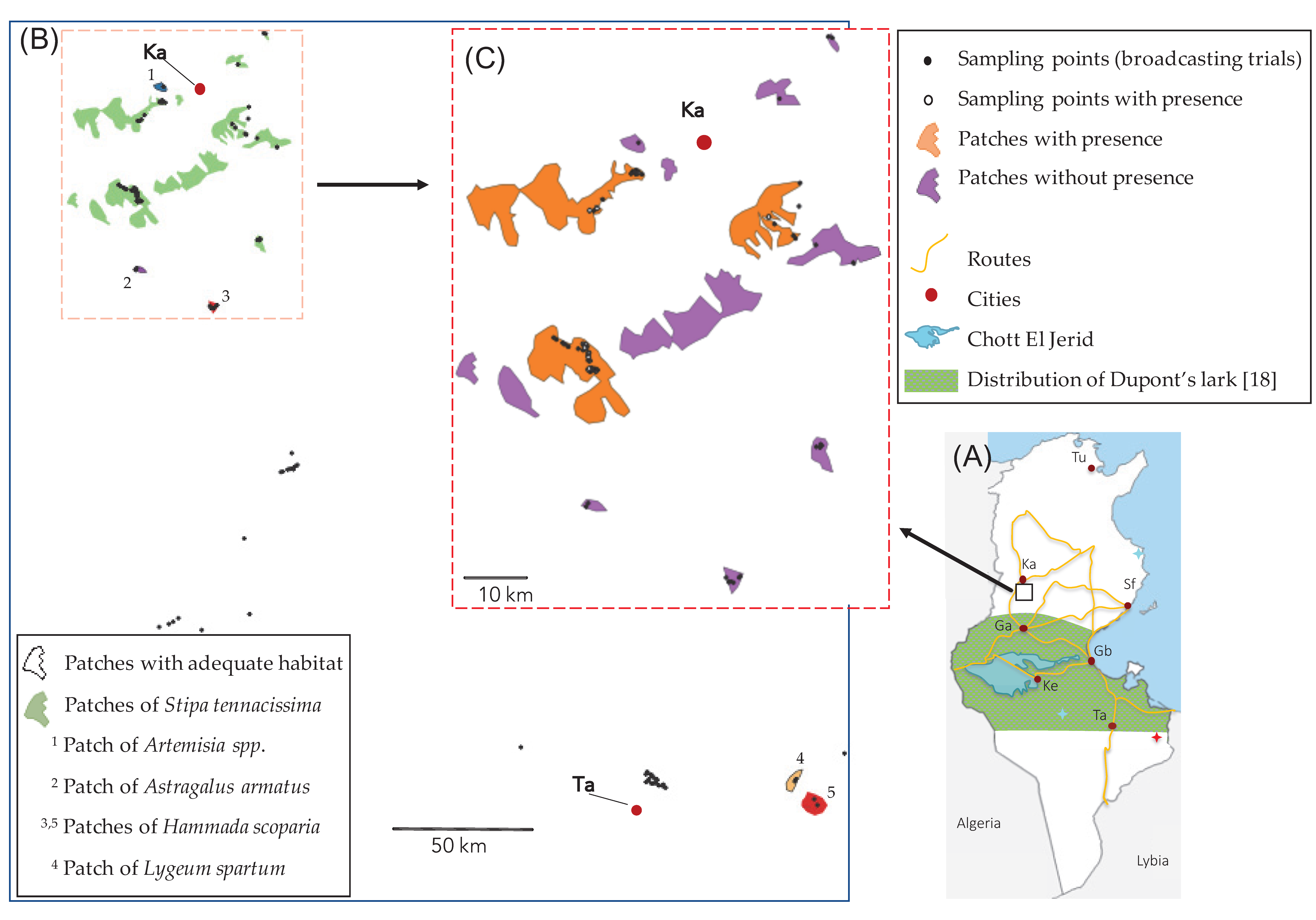 Diversity 15 00549 g001