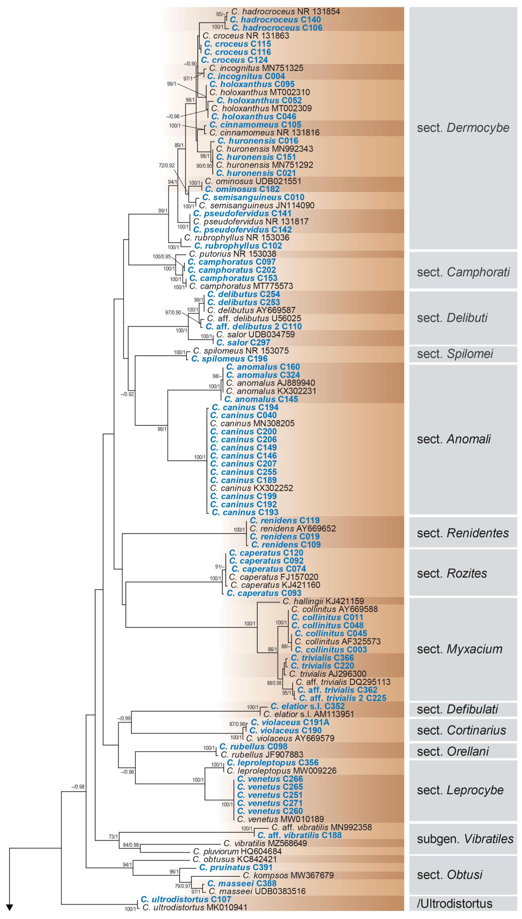 Diversity 15 00553 g003a