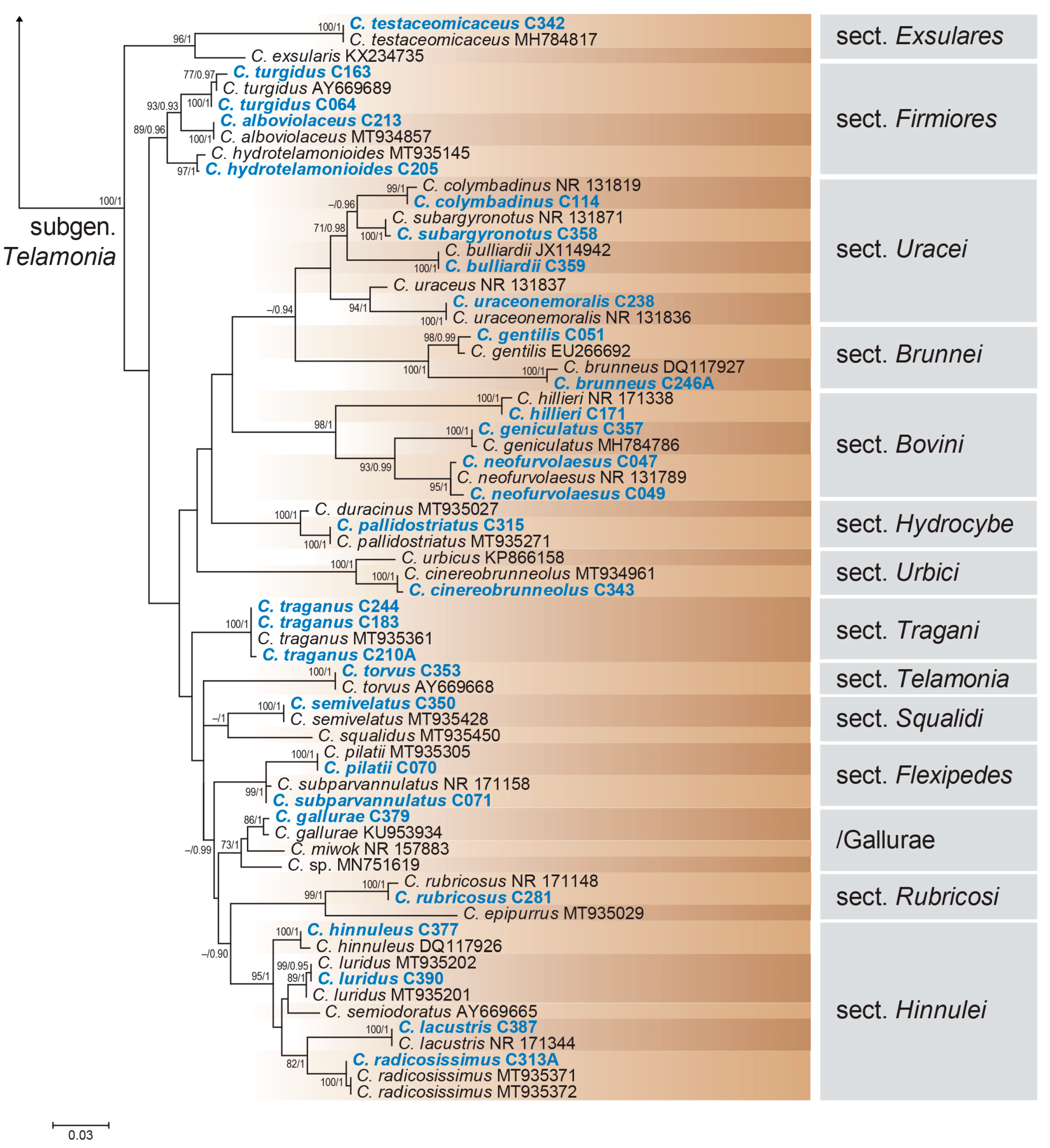 Diversity 15 00553 g003b
