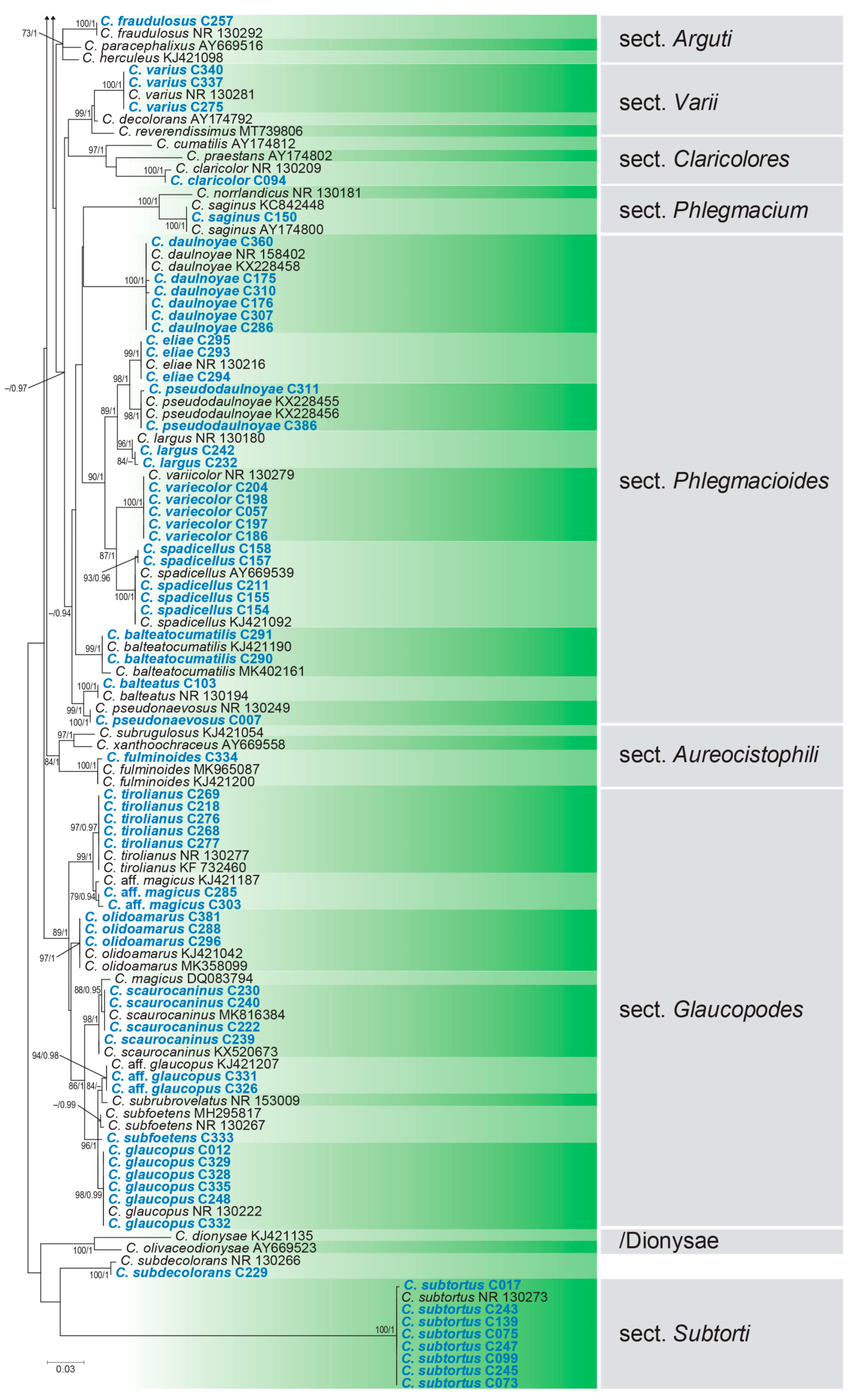 Diversity 15 00553 g004b