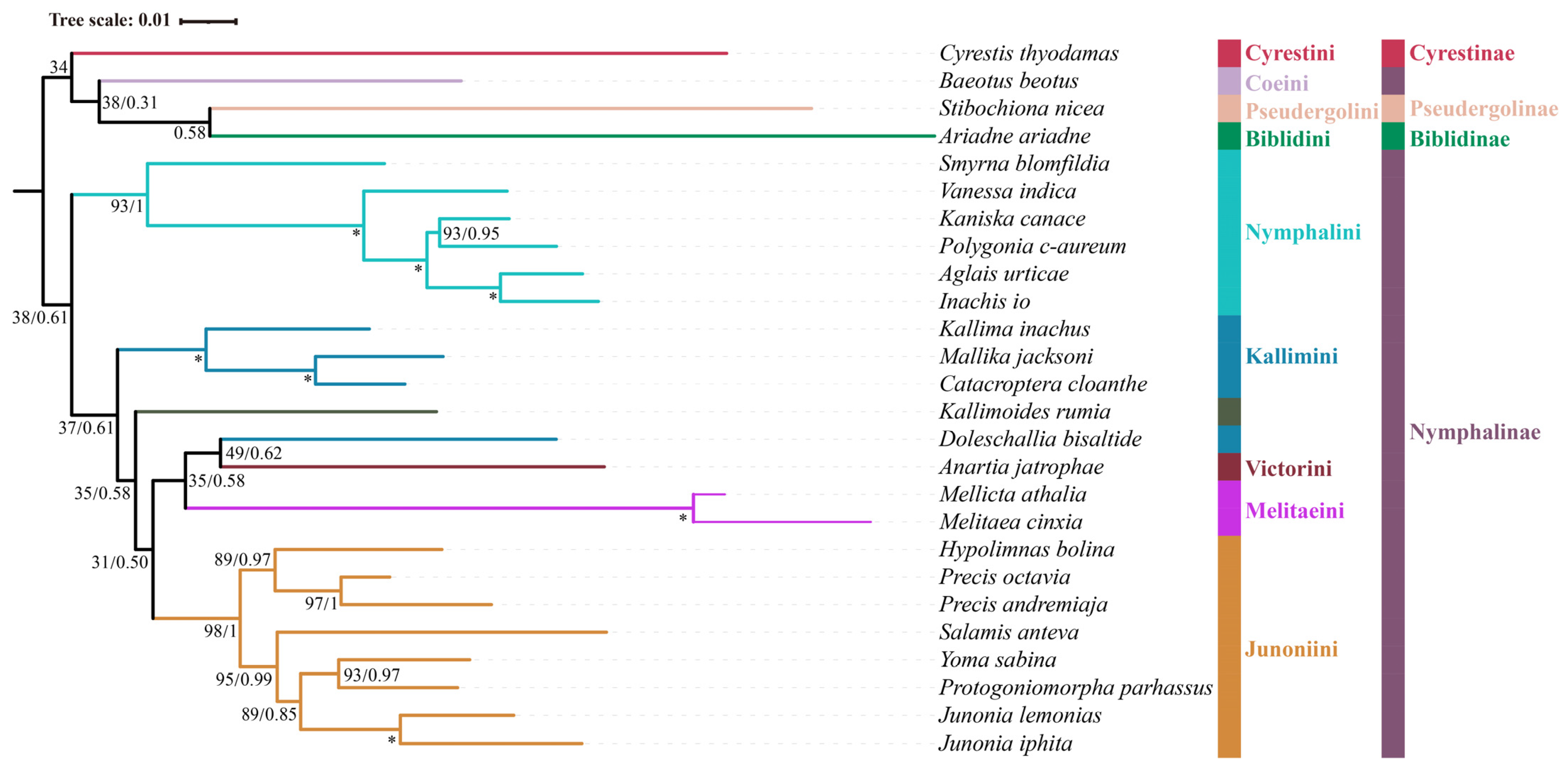 Diversity 15 00558 g002 Diversity 15 00558 g002
