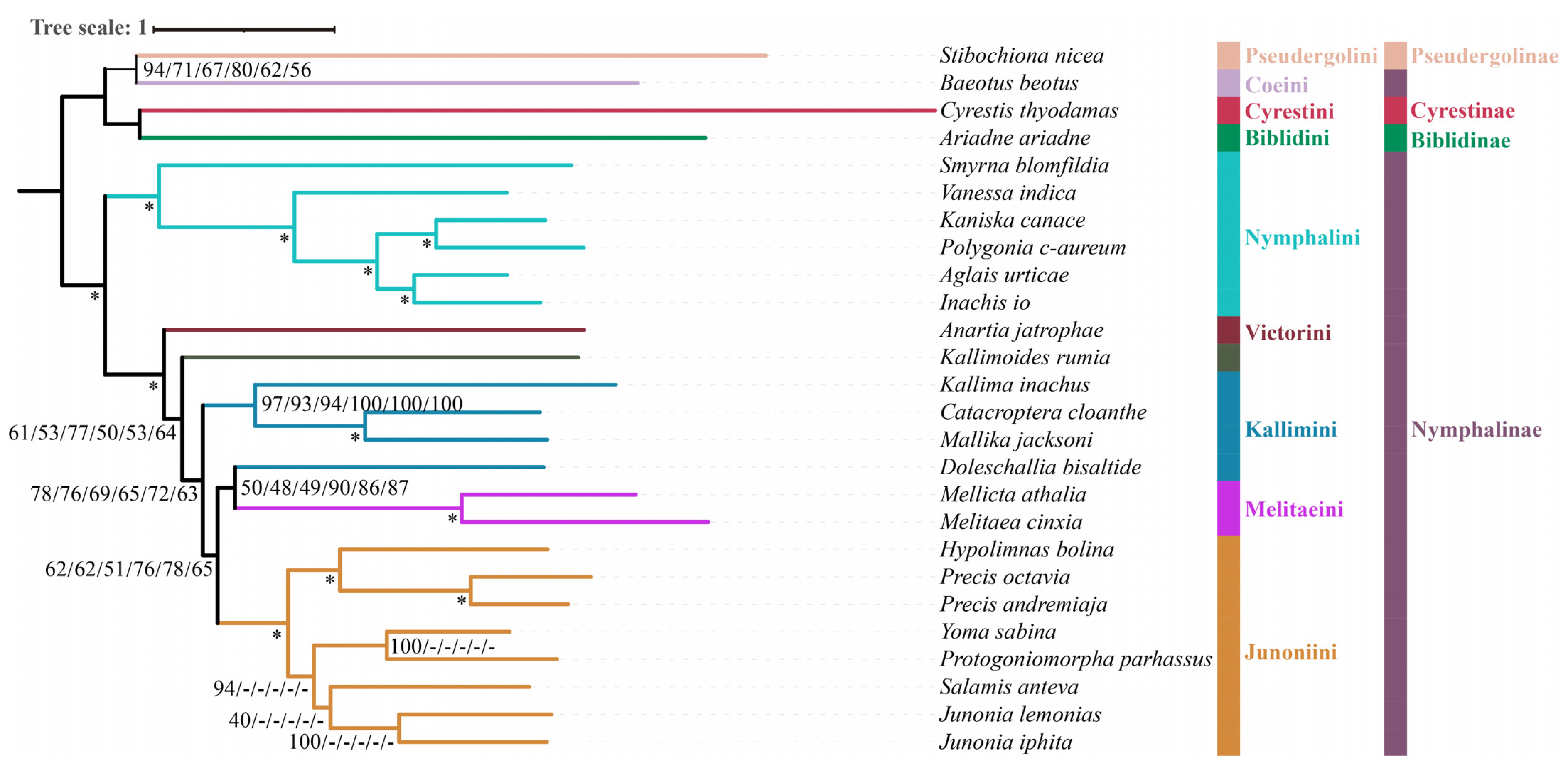 Diversity 15 00558 g003 Diversity 15 00558 g003