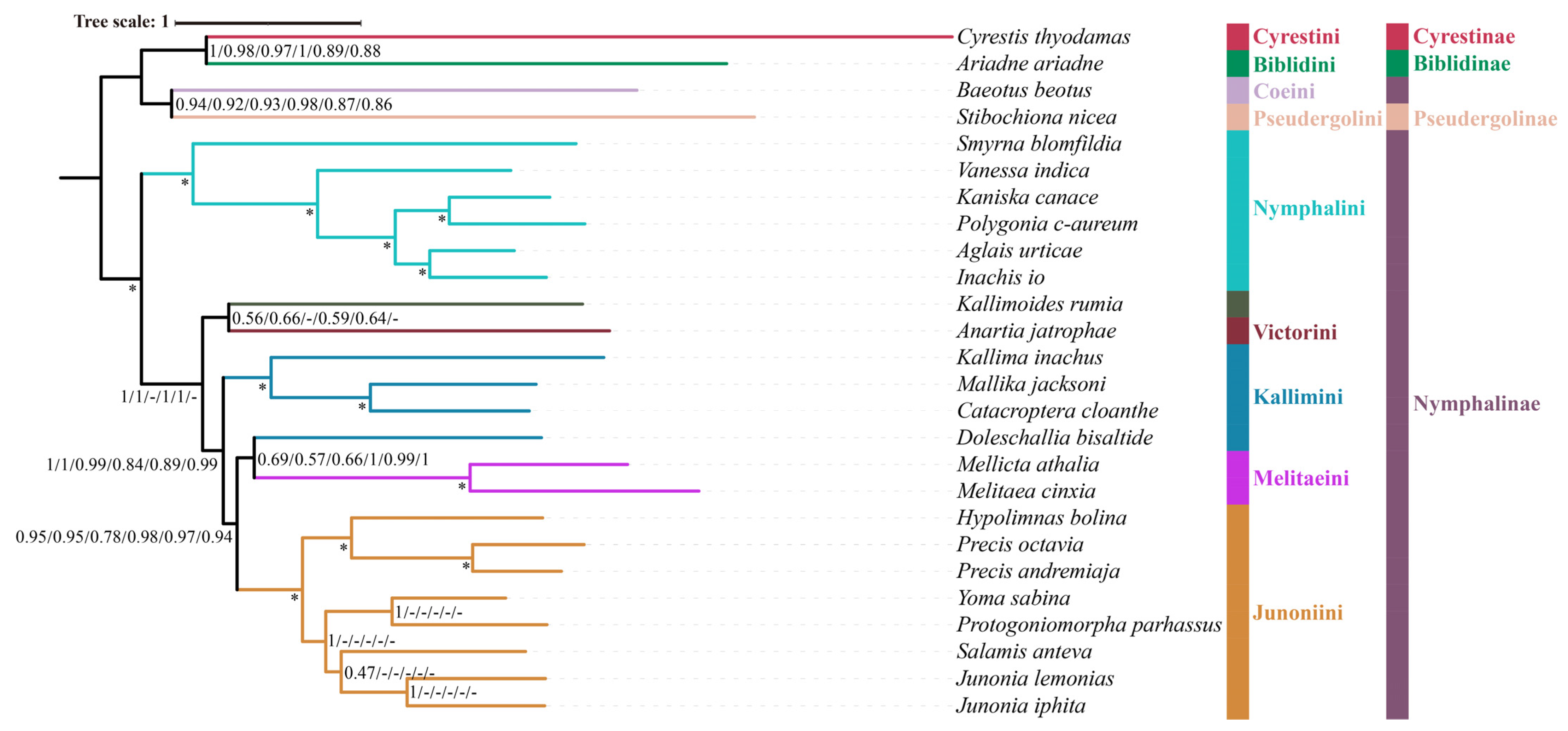 Diversity 15 00558 g004 Diversity 15 00558 g004