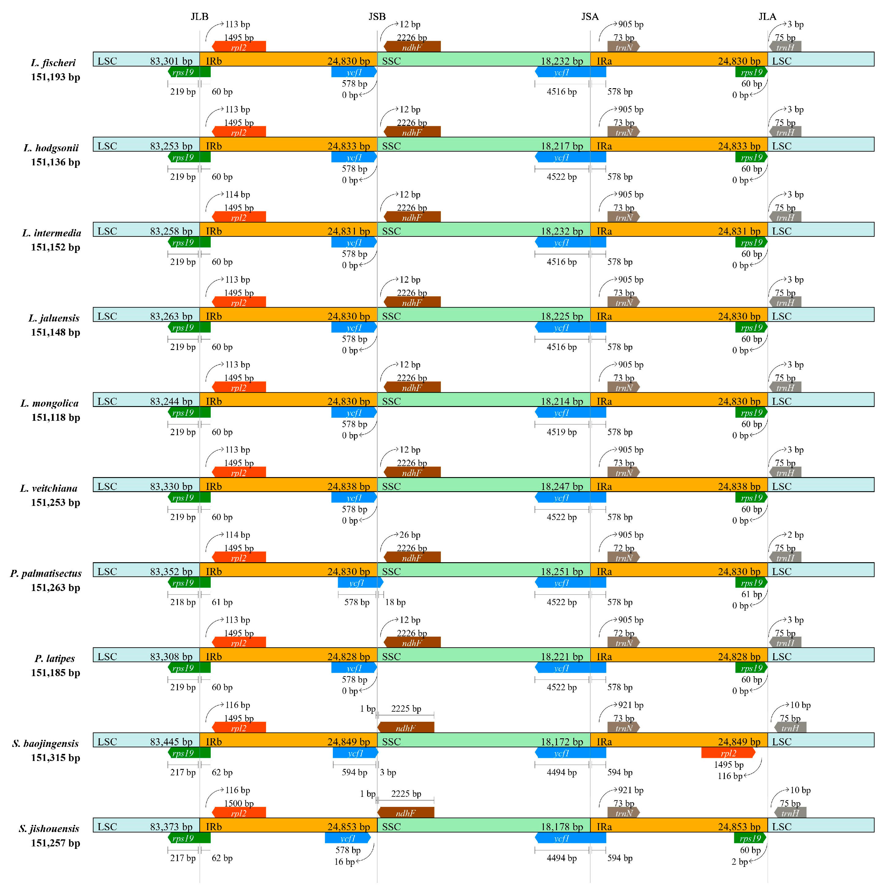 Diversity 15 00563 g005 Diversity 15 00563 g005