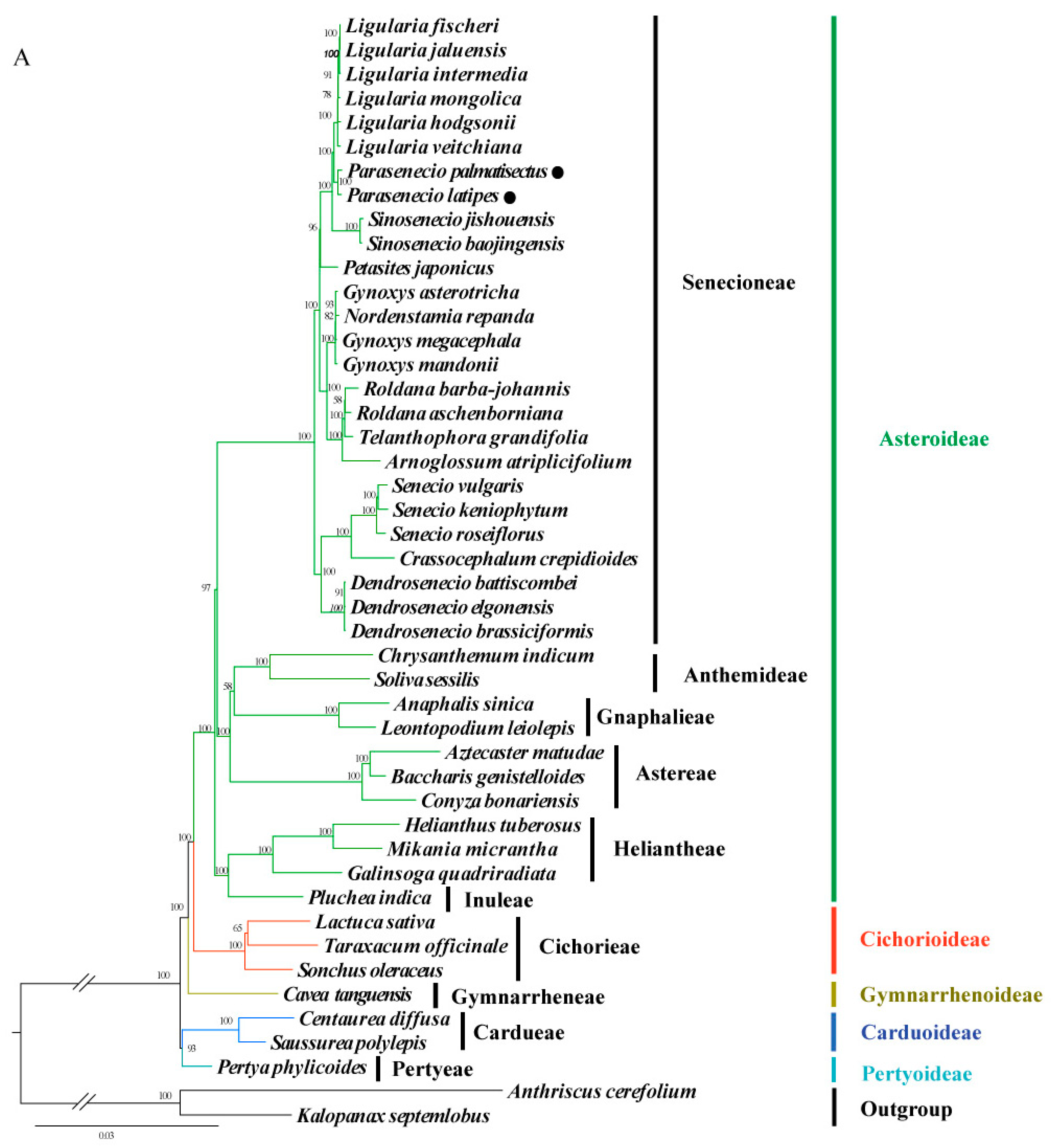 Diversity 15 00563 g008a Diversity 15 00563 g008a