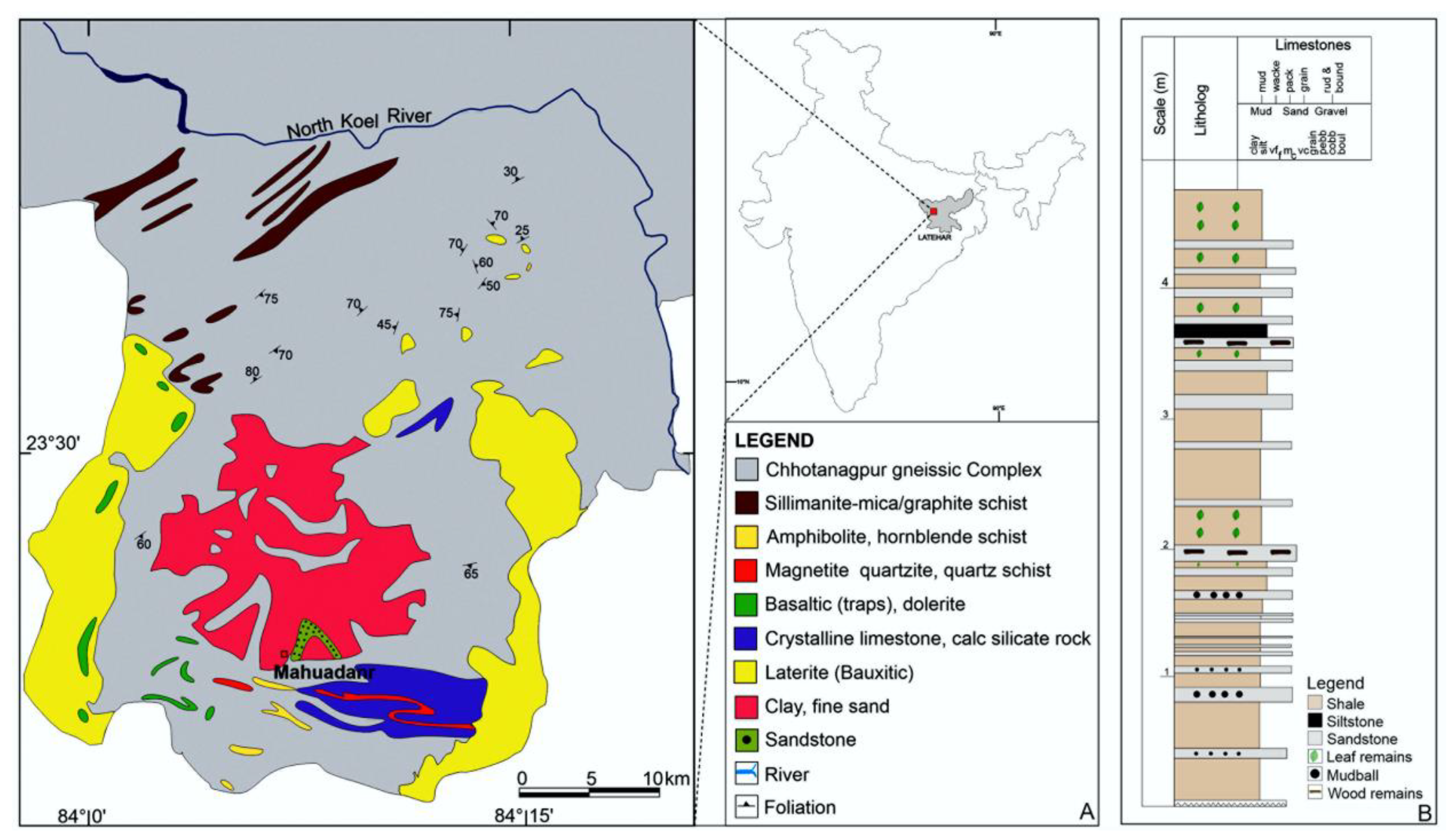 Diversity Free Full-Text Discovery of the Puparia of a Whitefly Species Found on Malvaceae in the Pliocene Rajdanda Formation, Jharkhand, Eastern India