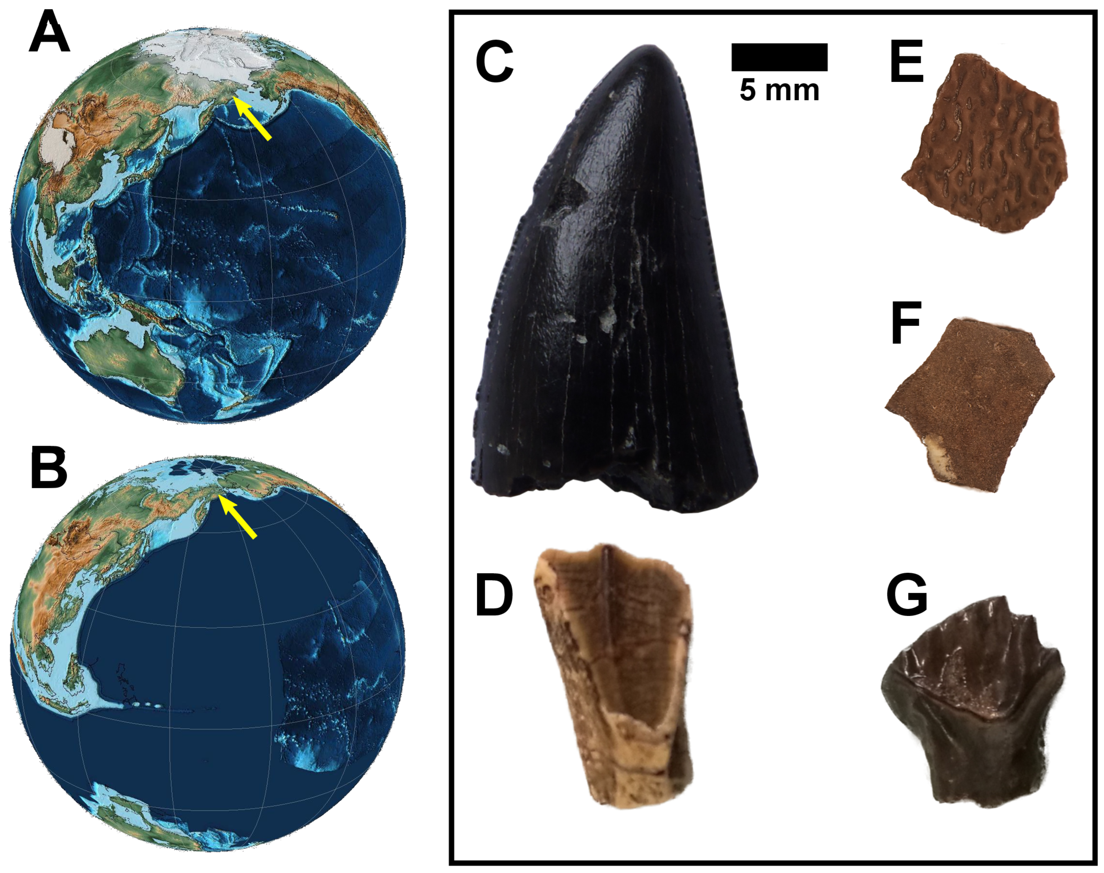 Diversity 15 00565 g001 Diversity 15 00565 g001