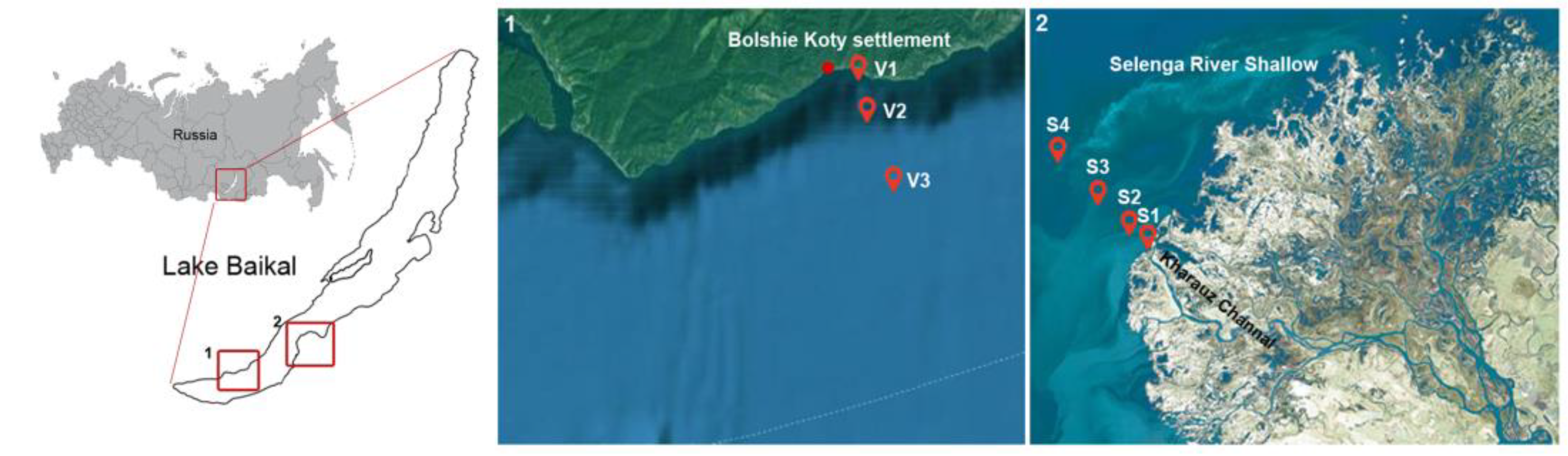 Diversity 15 00572 g001 Diversity 15 00572 g001