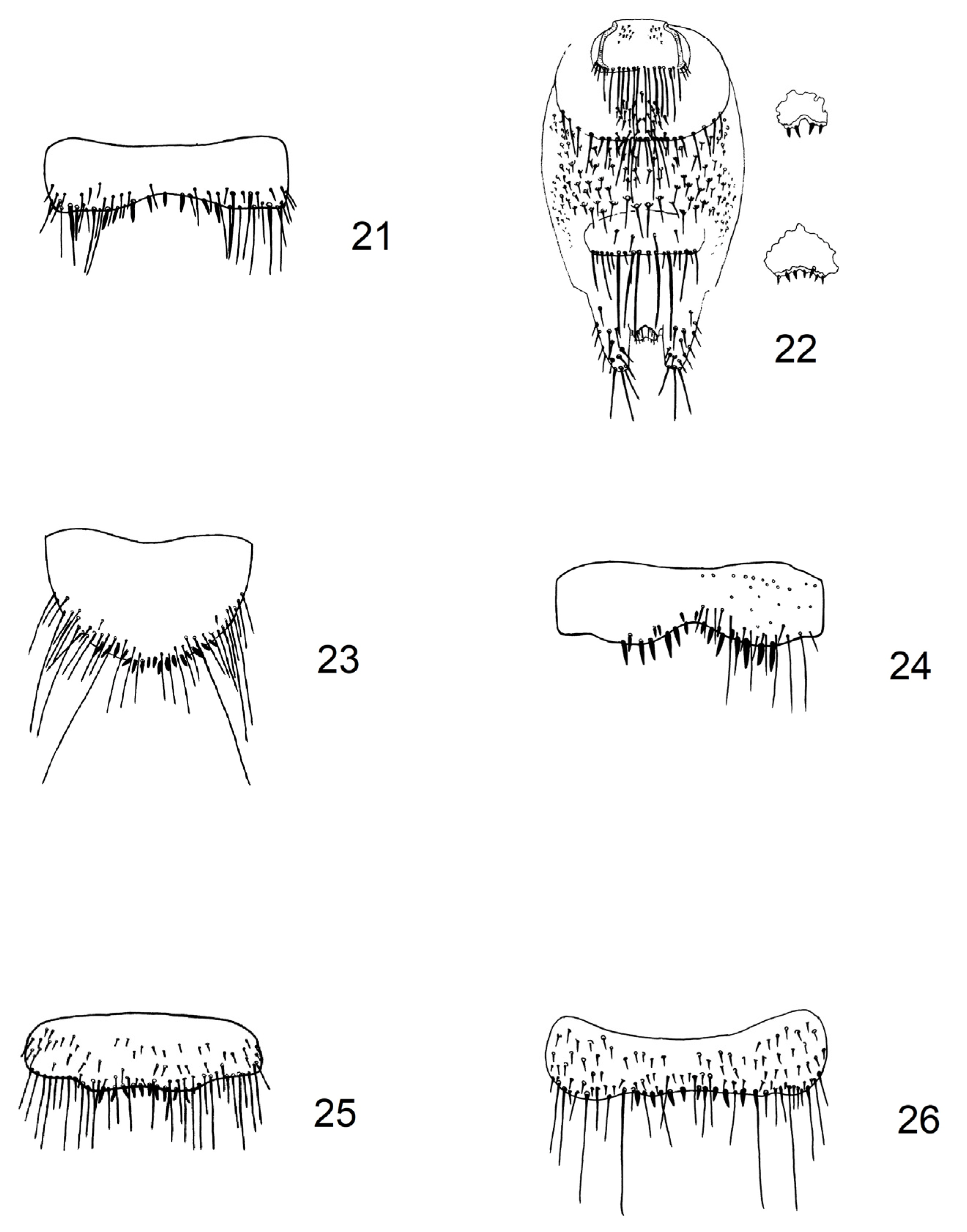 Diversity 15 00573 g003