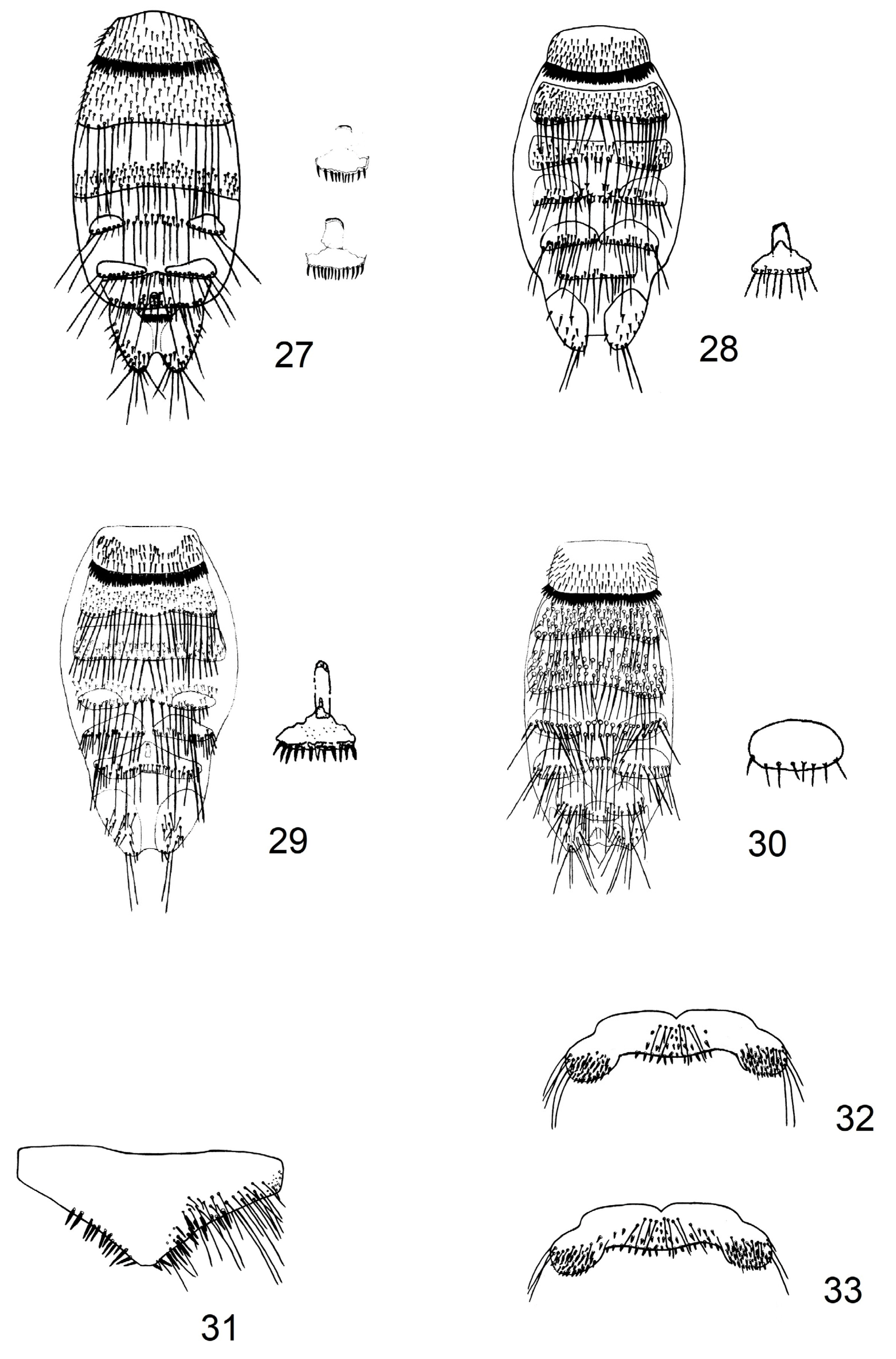 Diversity 15 00573 g004
