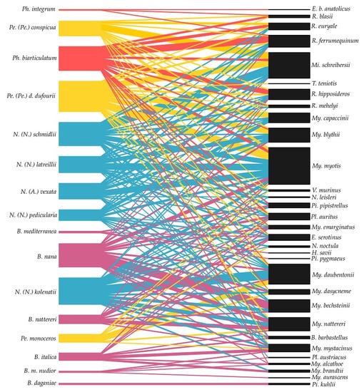 Updated Taxonomic Key of European Nycteribiidae (Diptera