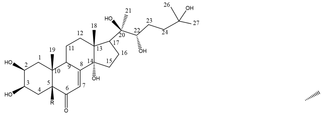 Diversity 15 00574 i015