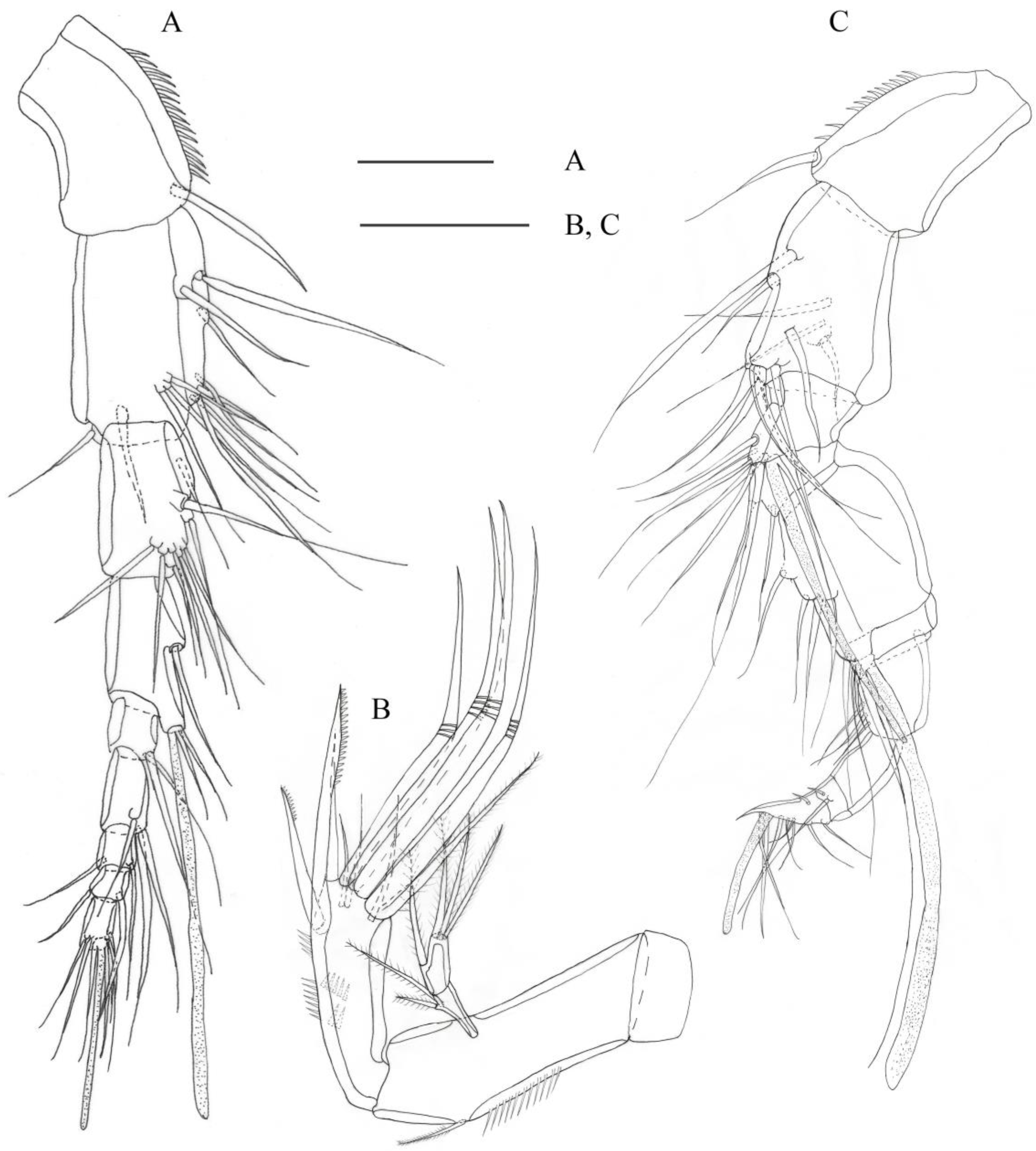 Diversity 15 00577 g002 Diversity 15 00577 g002