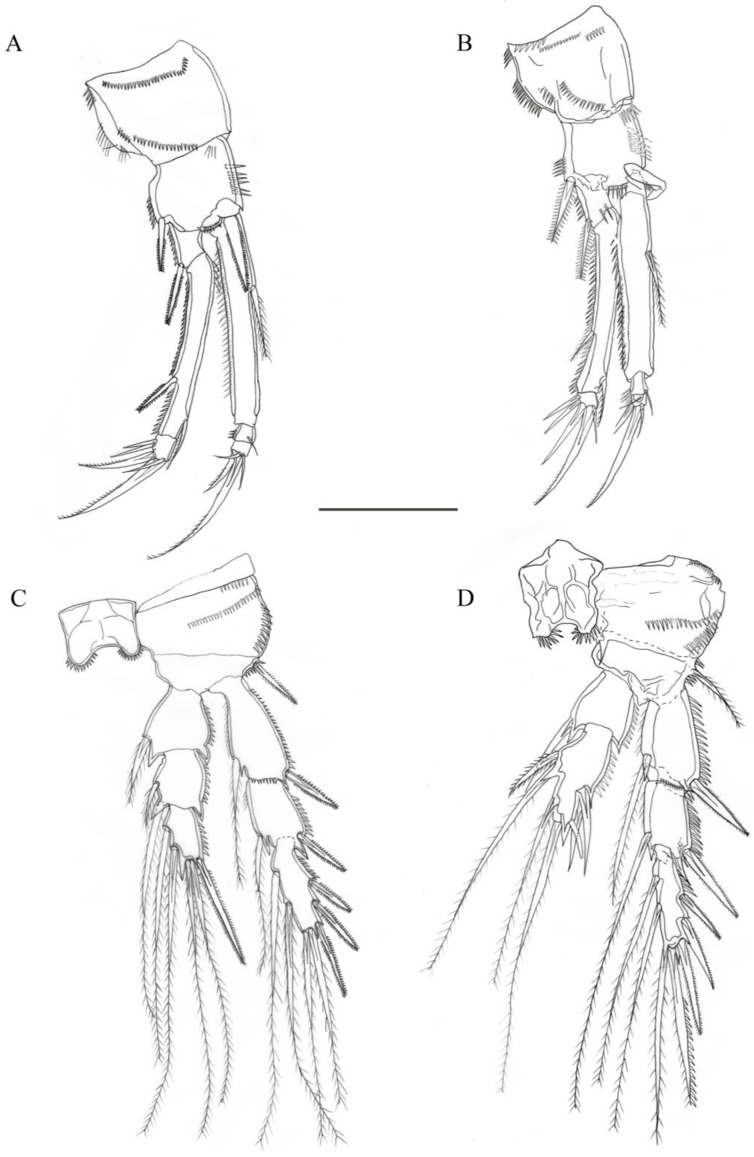 Diversity 15 00577 g004 Diversity 15 00577 g004