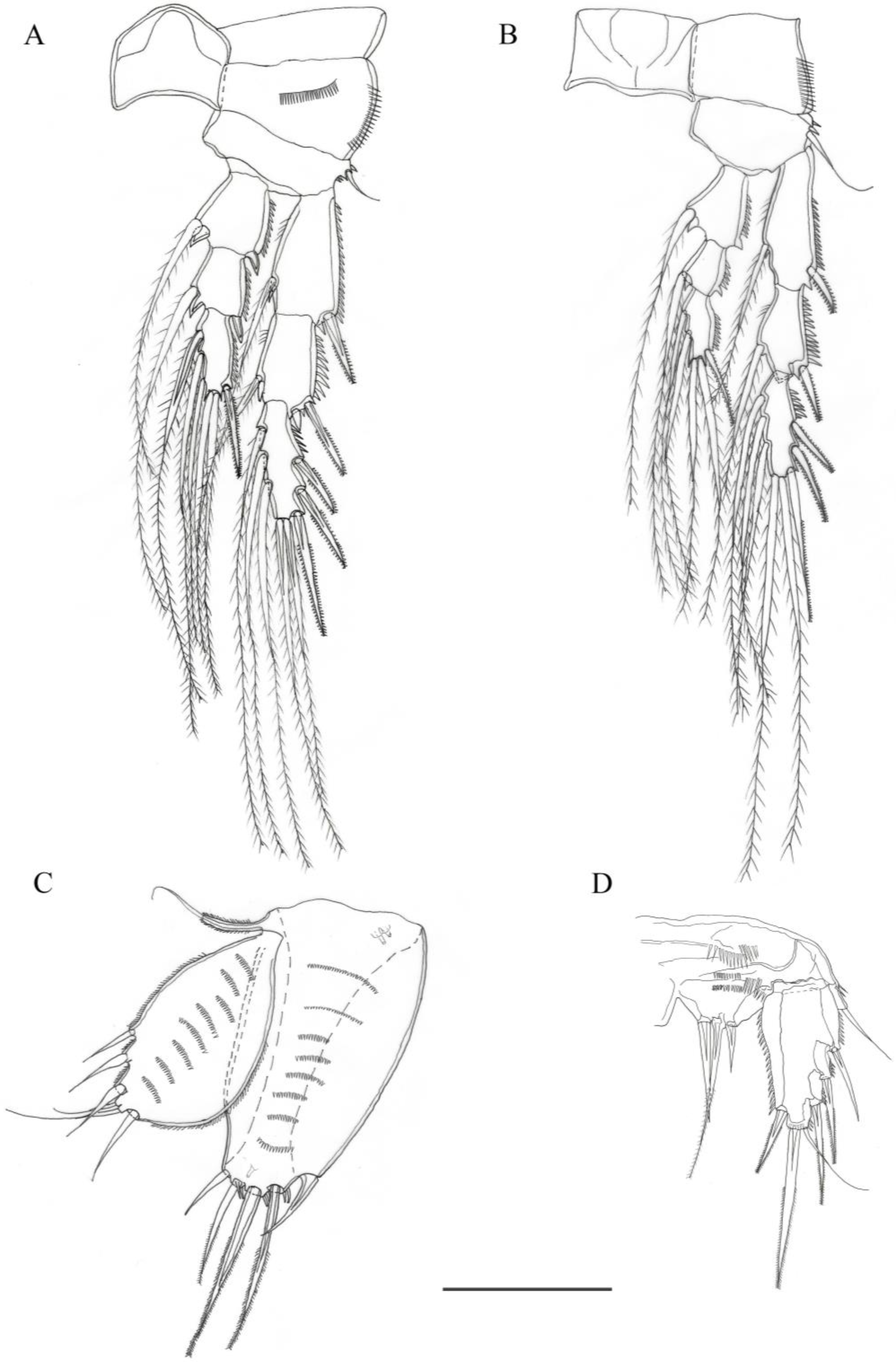 Diversity 15 00577 g005 Diversity 15 00577 g005