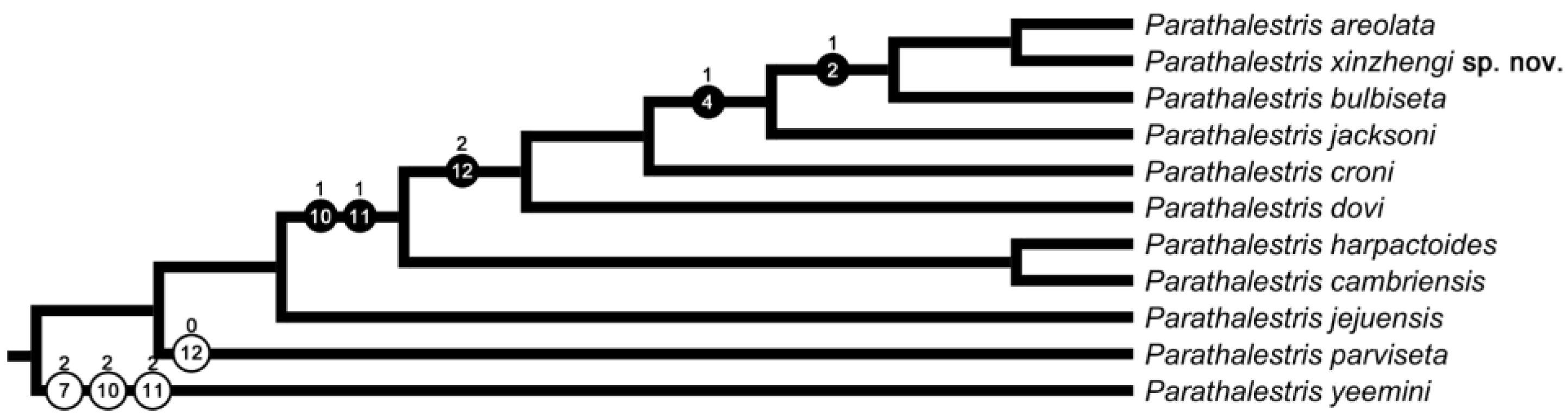 Diversity 15 00577 g007 Diversity 15 00577 g007