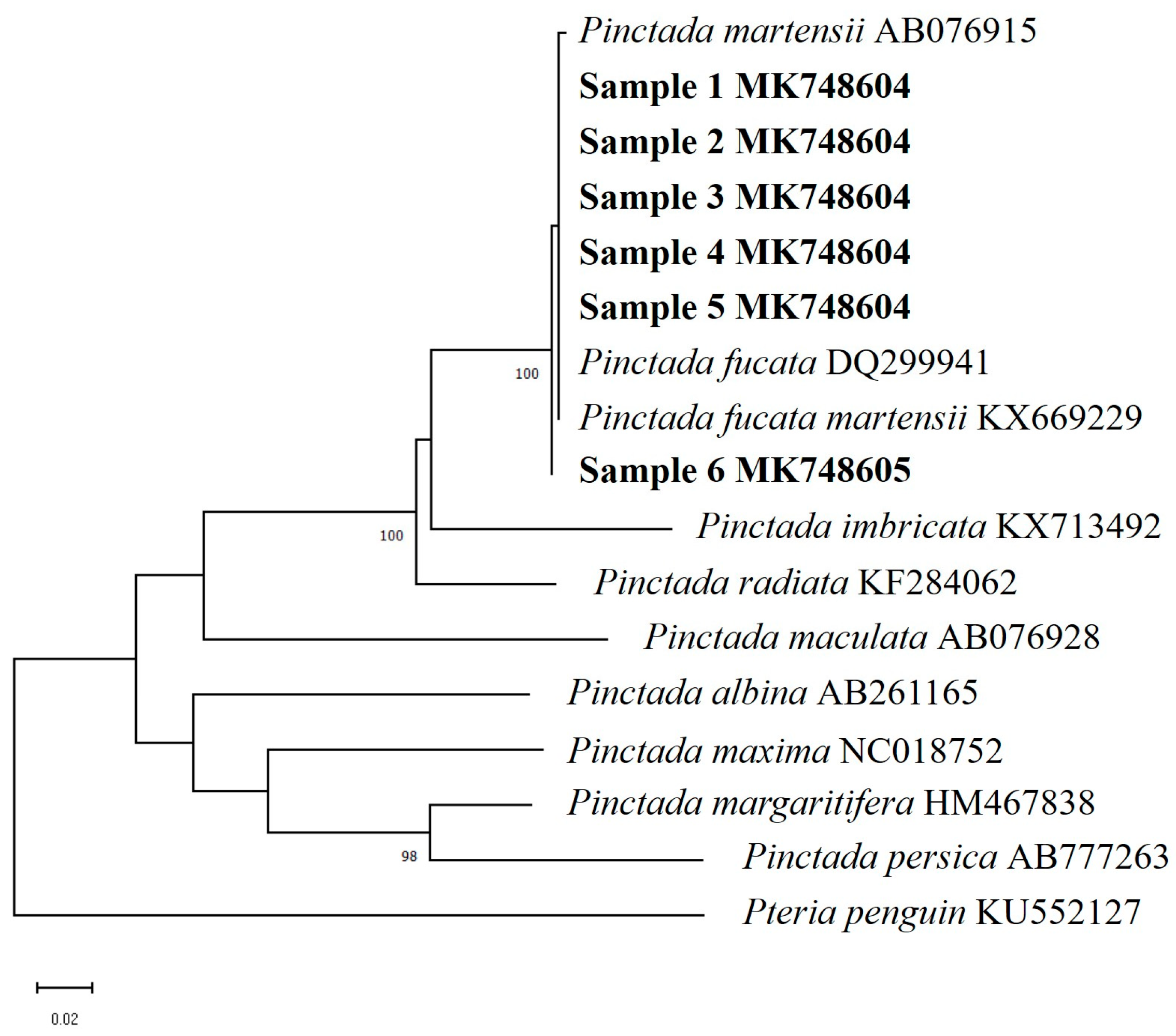 Diversity 15 00578 g003 Diversity 15 00578 g003