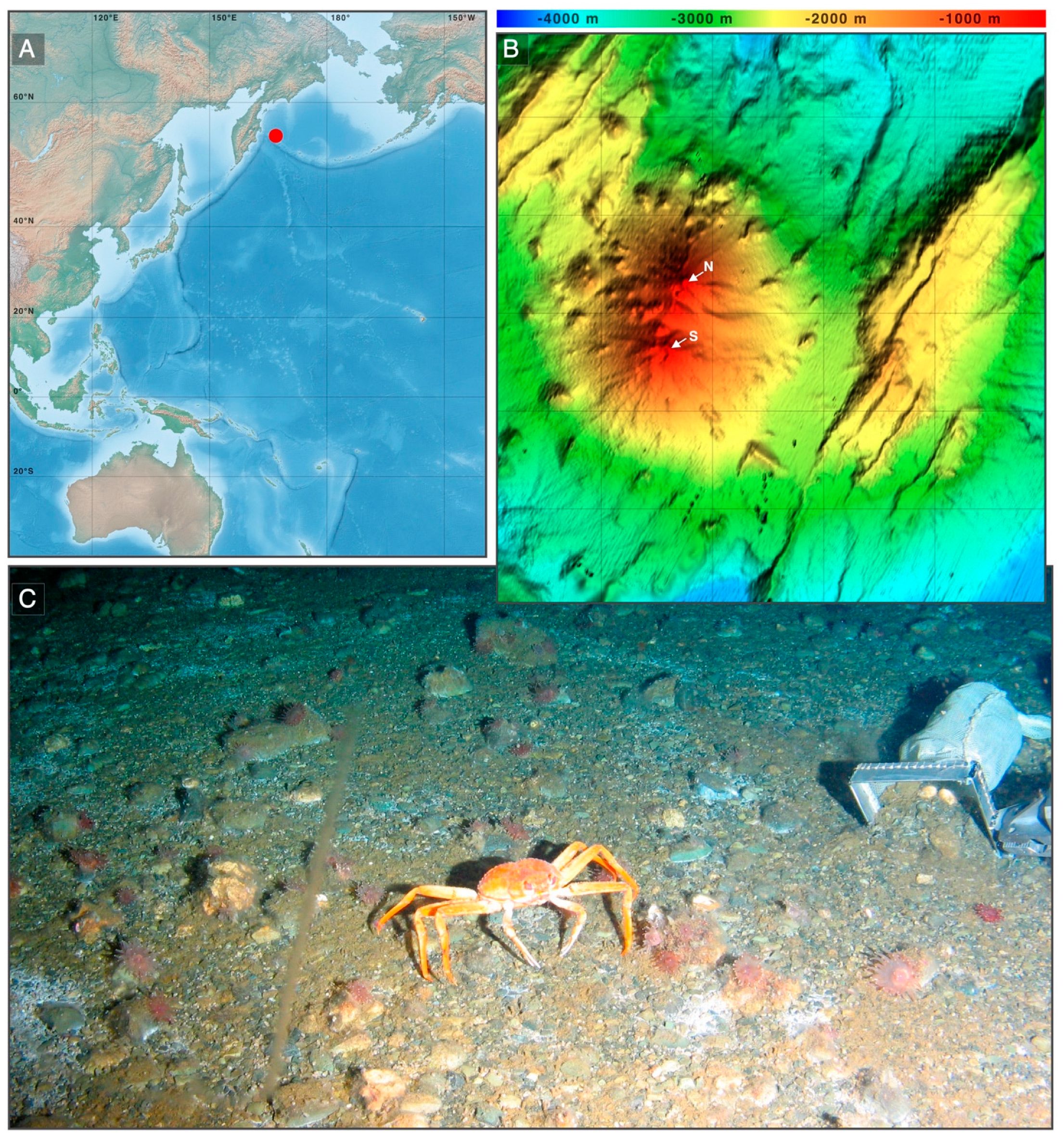 Diversity 15 00581 g001 Diversity 15 00581 g001