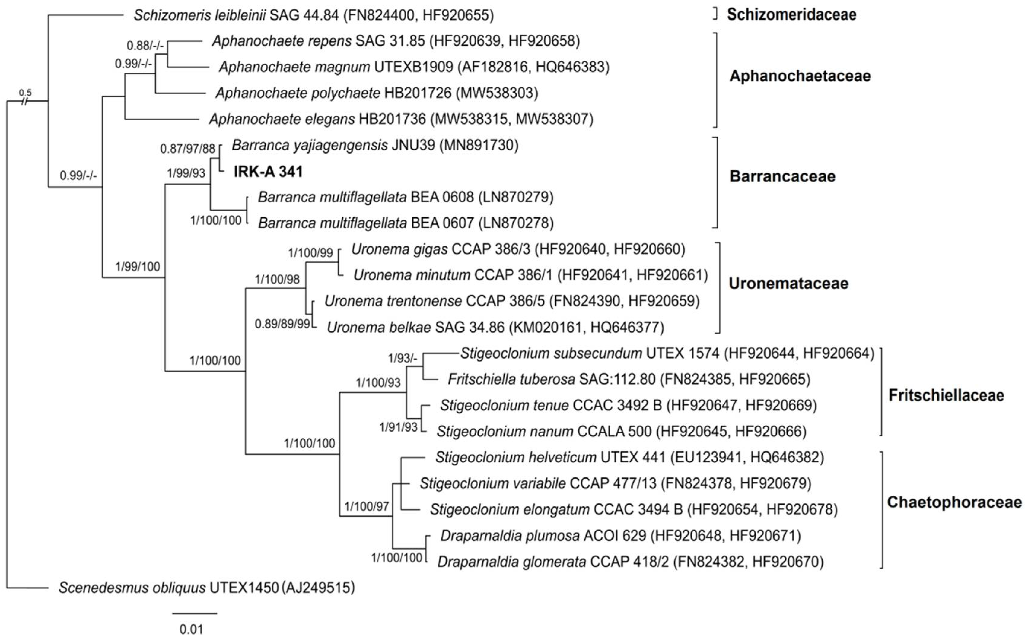 Diversity 15 00583 g001 Diversity 15 00583 g001
