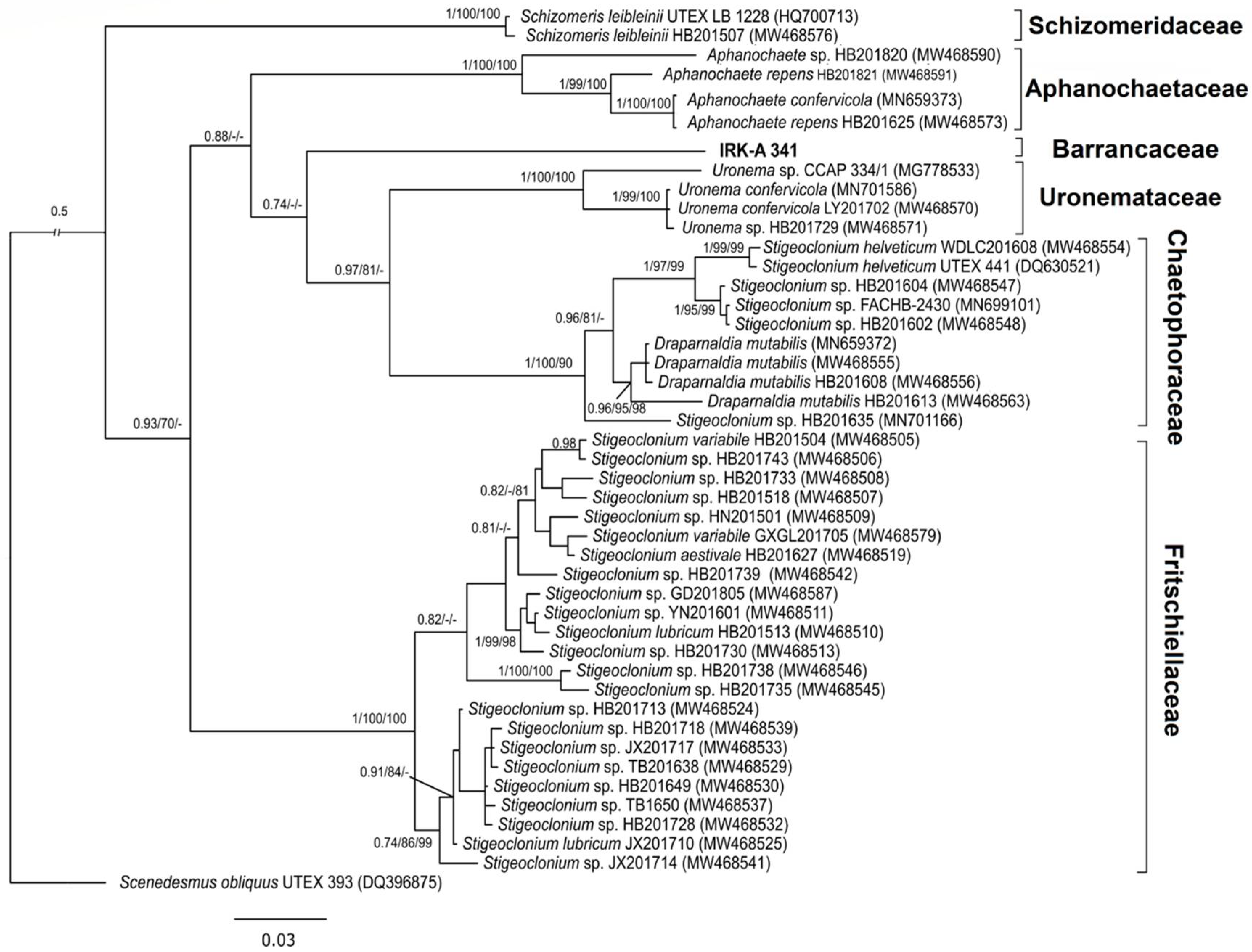 Diversity 15 00583 g002 Diversity 15 00583 g002