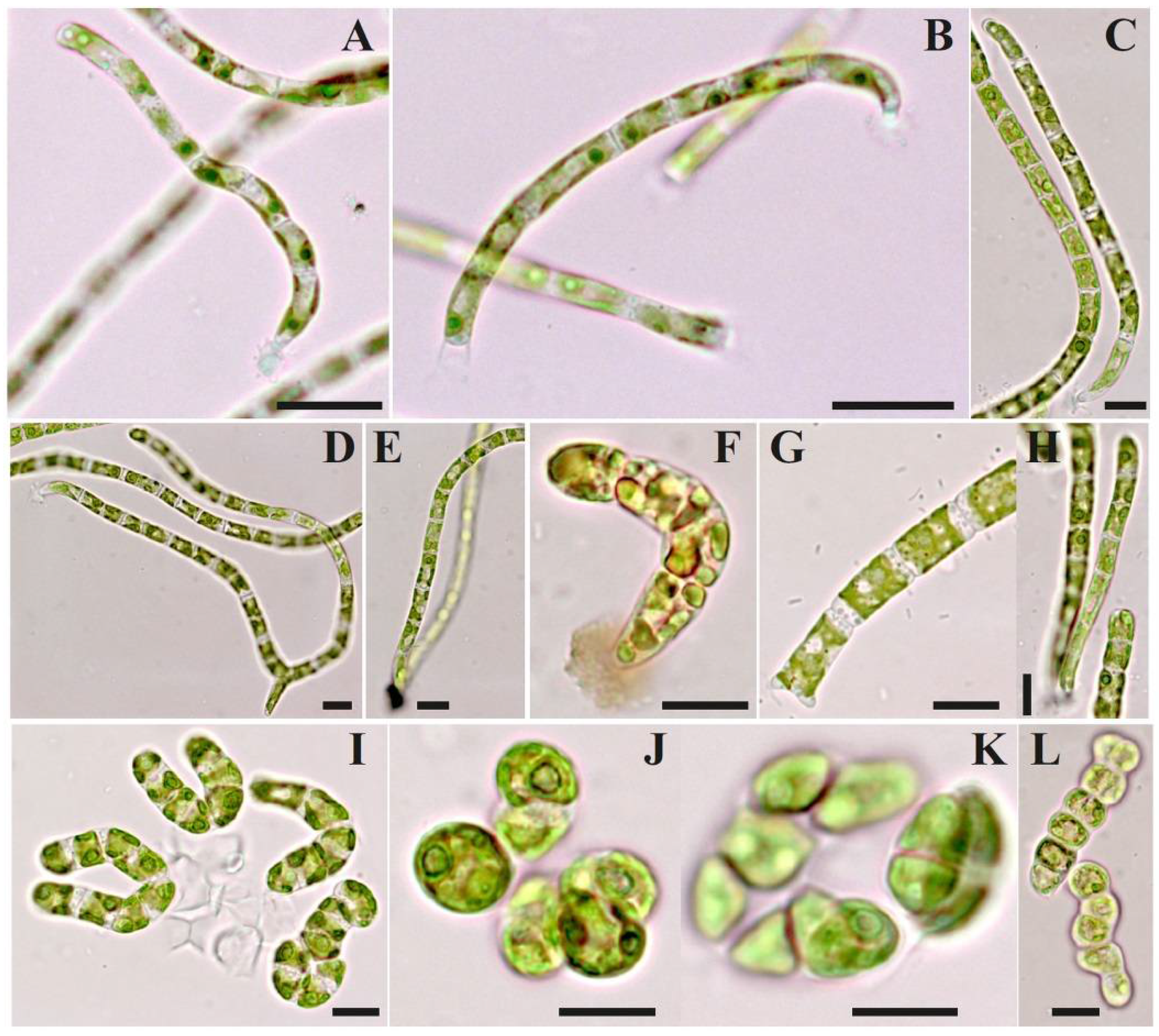 Diversity 15 00583 g005 Diversity 15 00583 g005