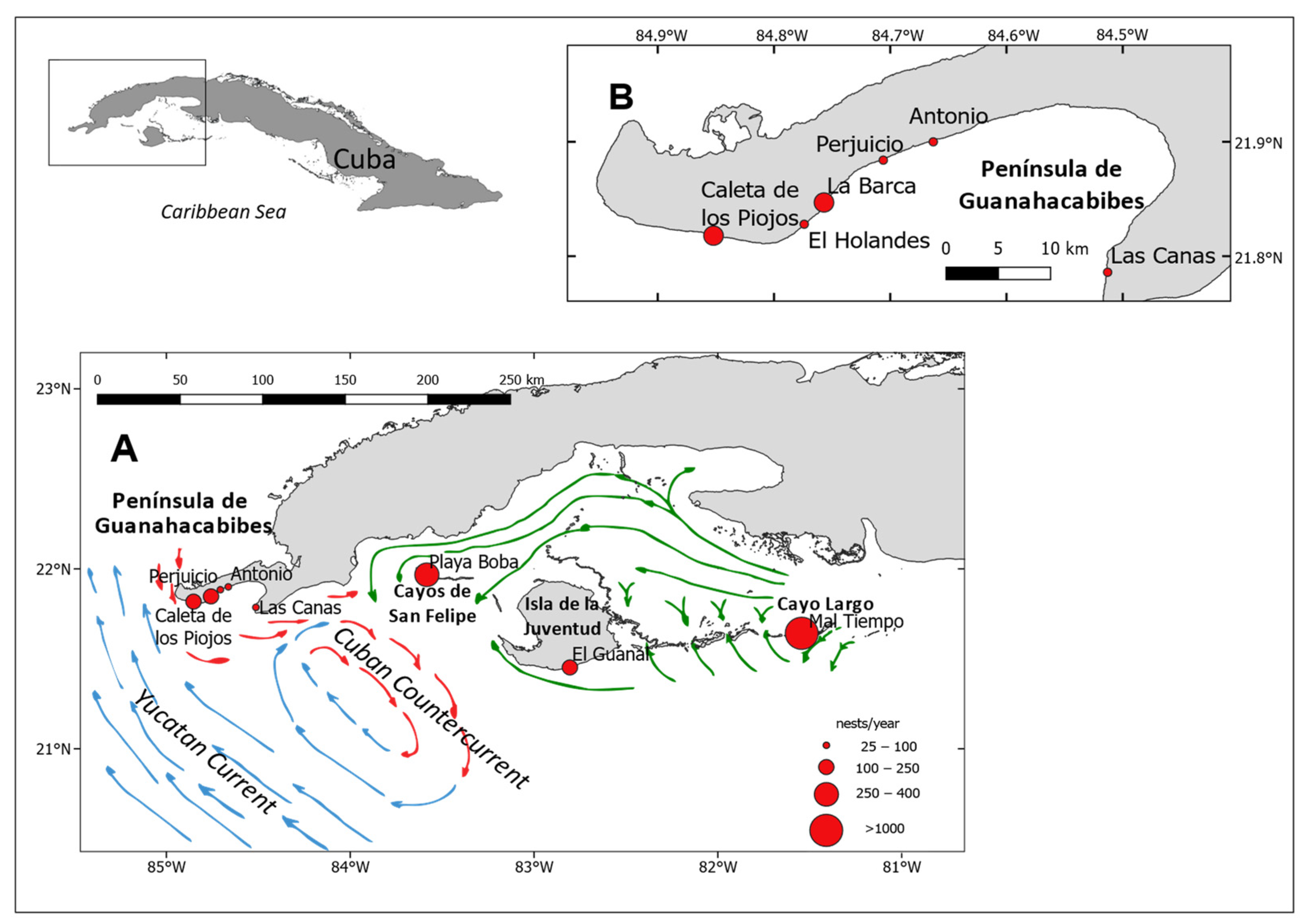 Diversity 15 00586 g001