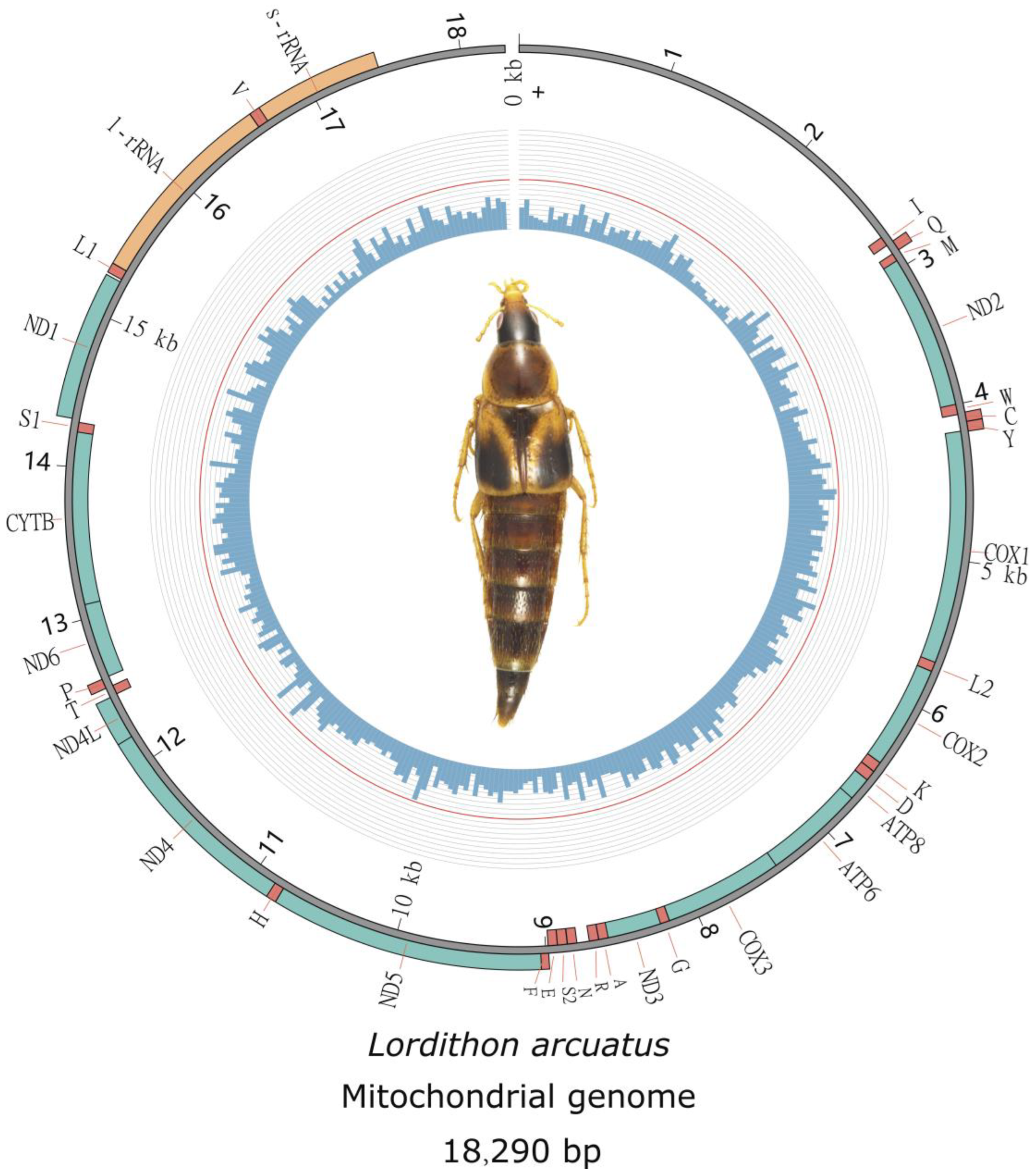 Diversity 15 00588 g001