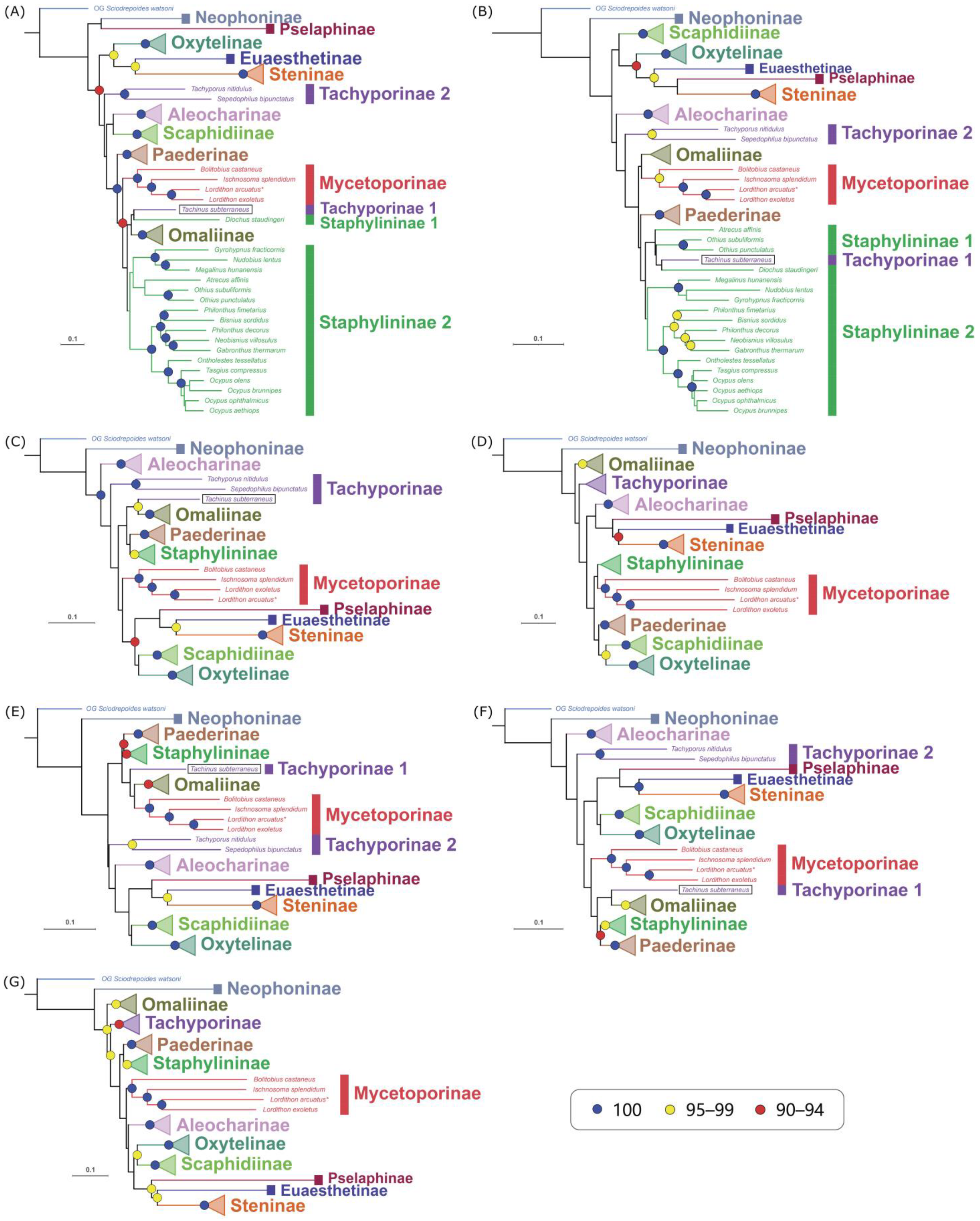 Diversity 15 00588 g005