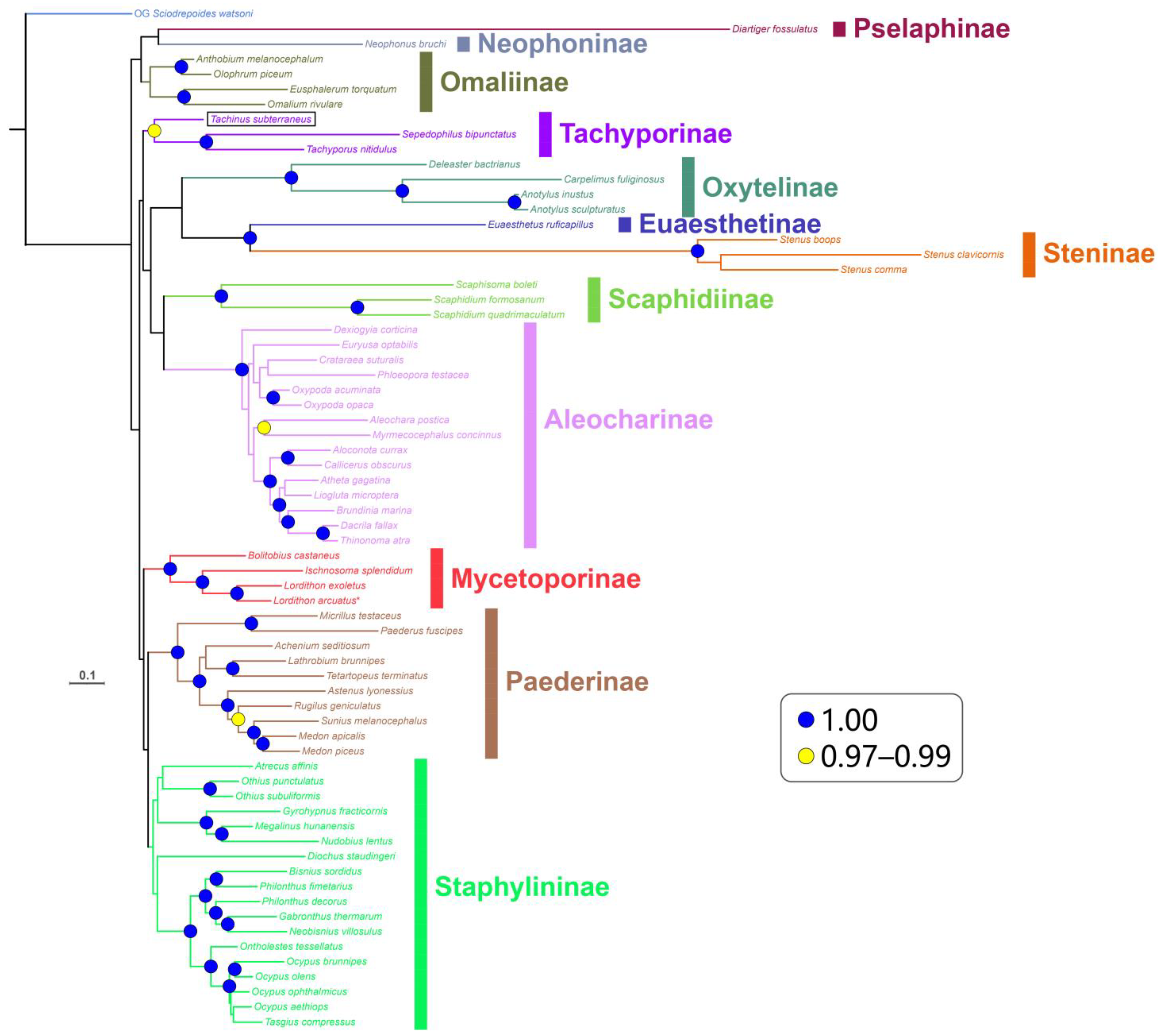 Diversity 15 00588 g007