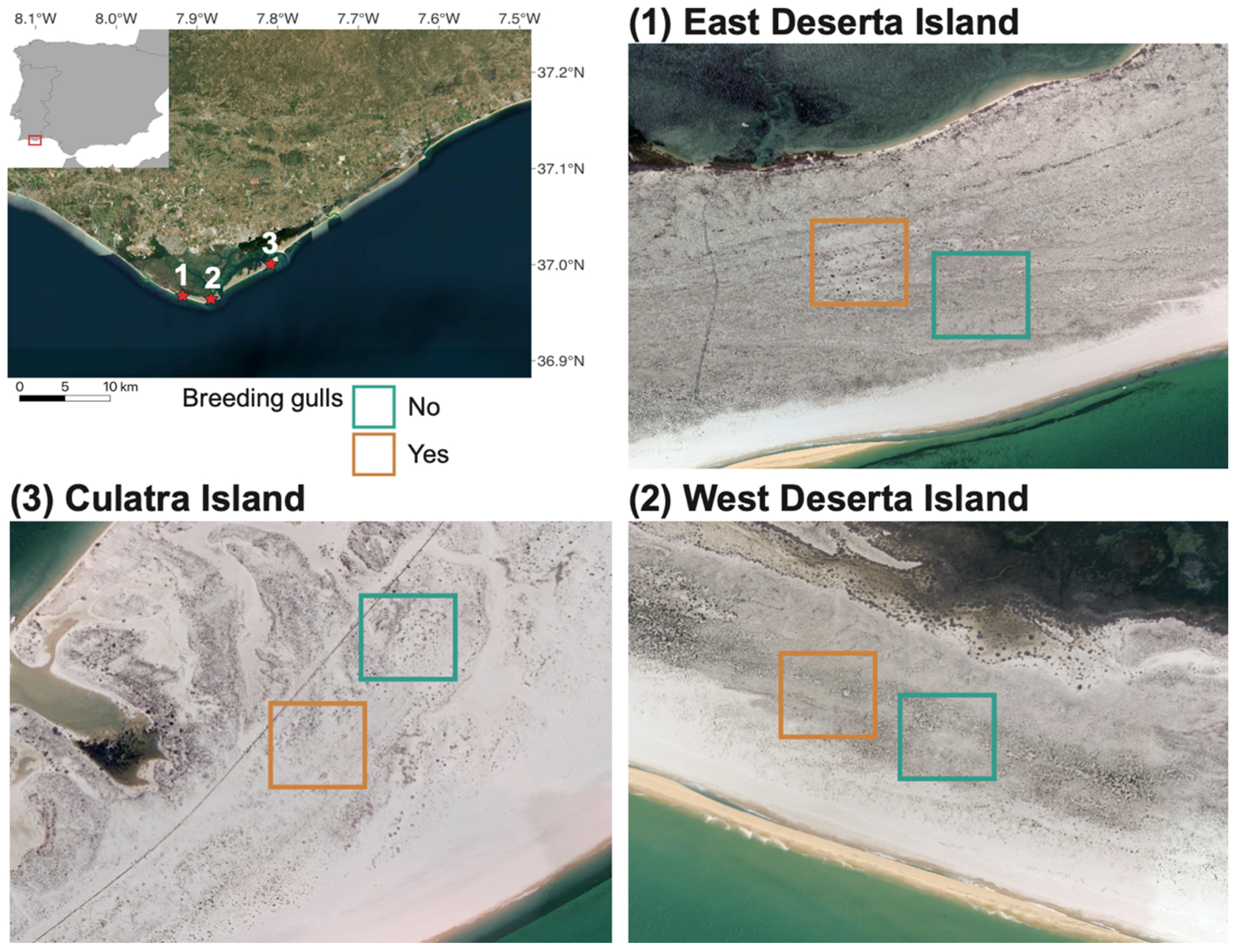 Diversity 15 00589 g001 Diversity 15 00589 g001