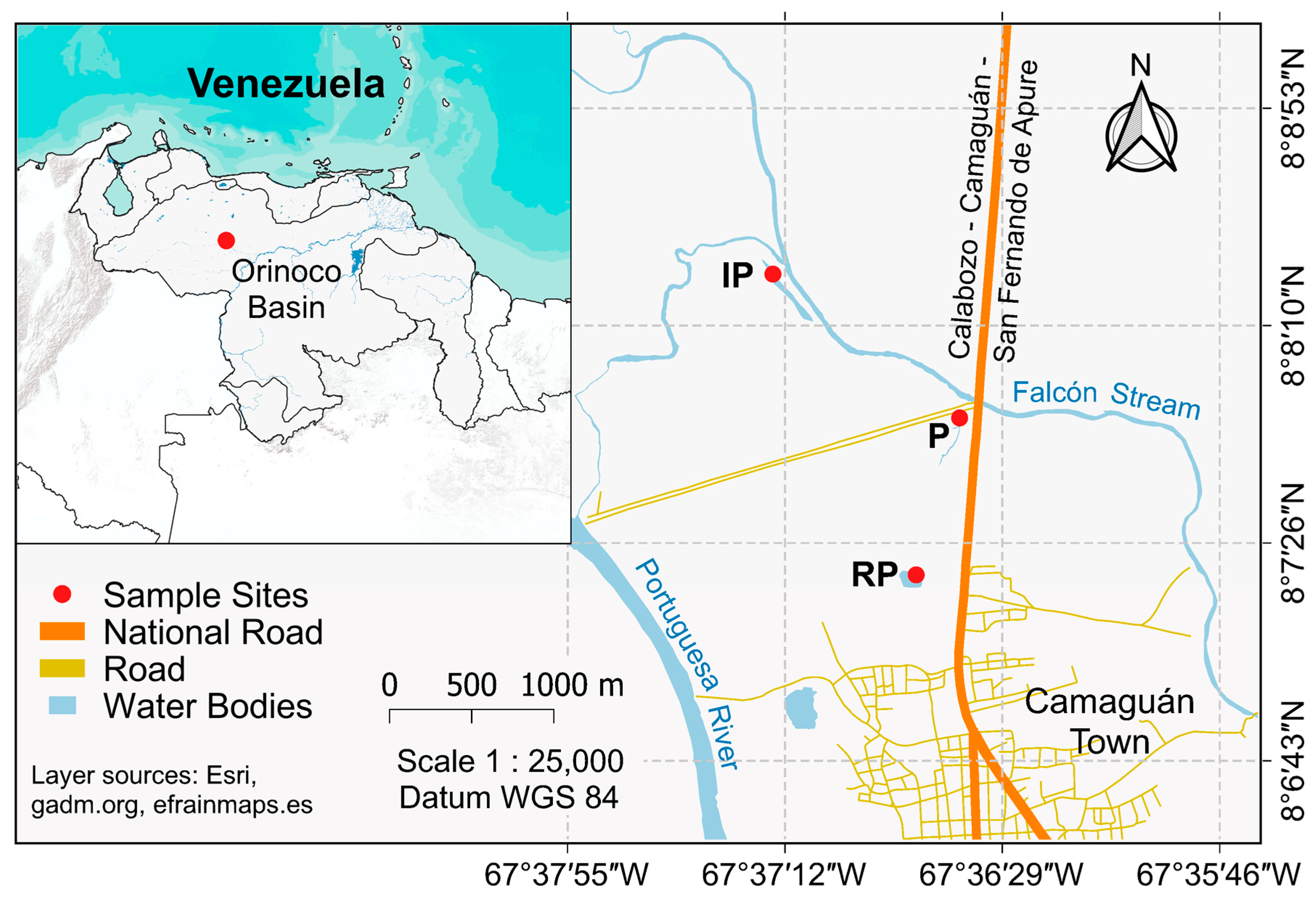 Diversity 15 00590 g001 Diversity 15 00590 g001