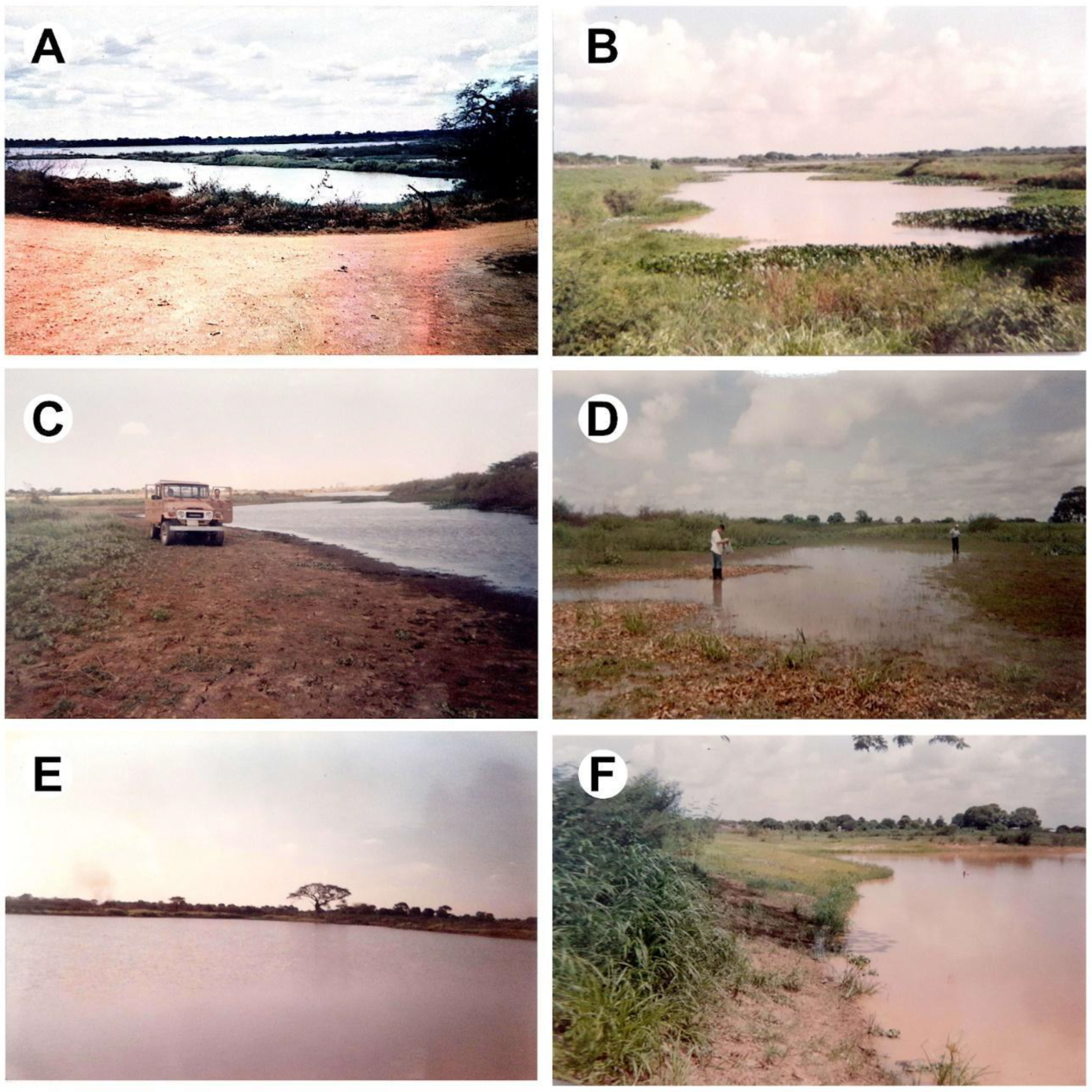 Diversity 15 00590 g002 Diversity 15 00590 g002