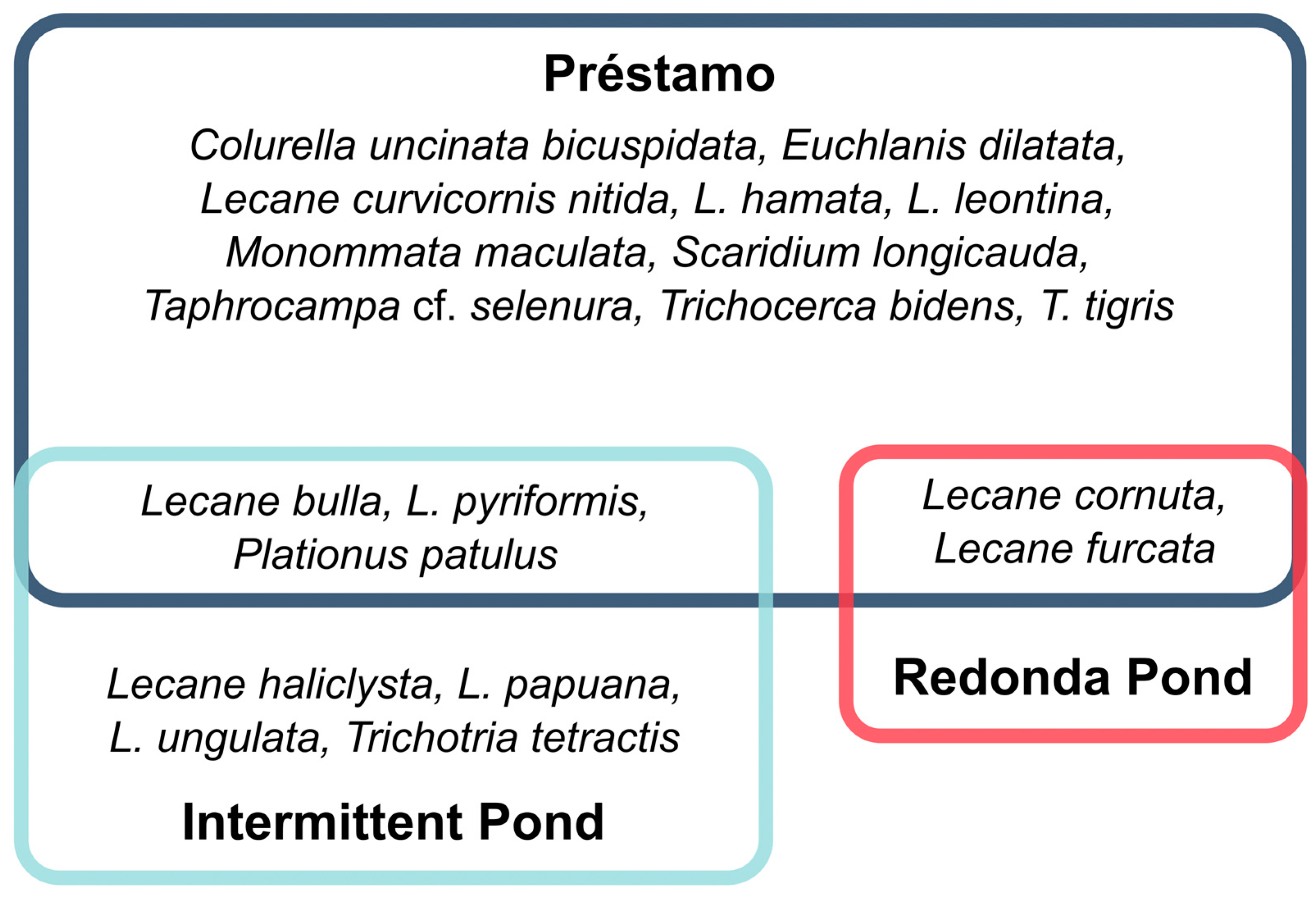 Diversity 15 00590 g004 Diversity 15 00590 g004