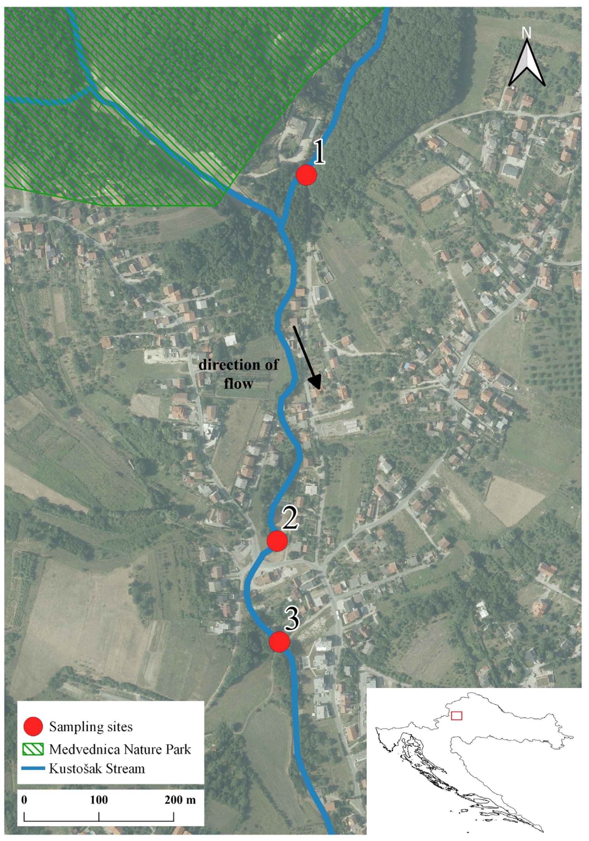 Diversity 15 00591 g002