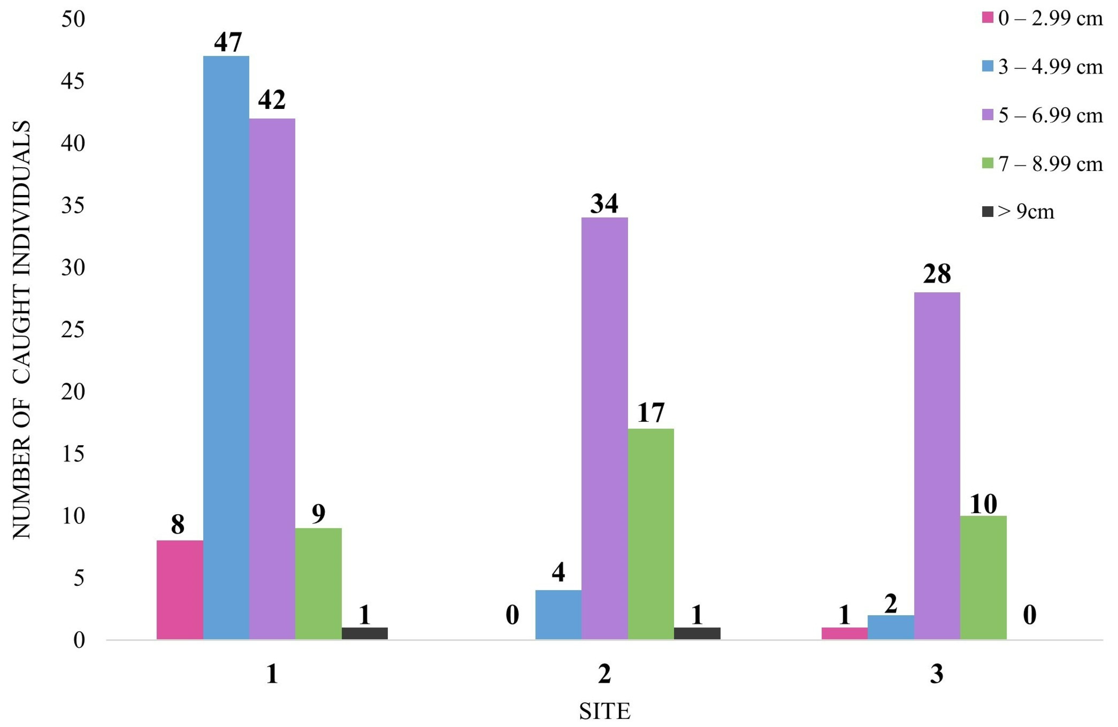 Diversity 15 00591 g005