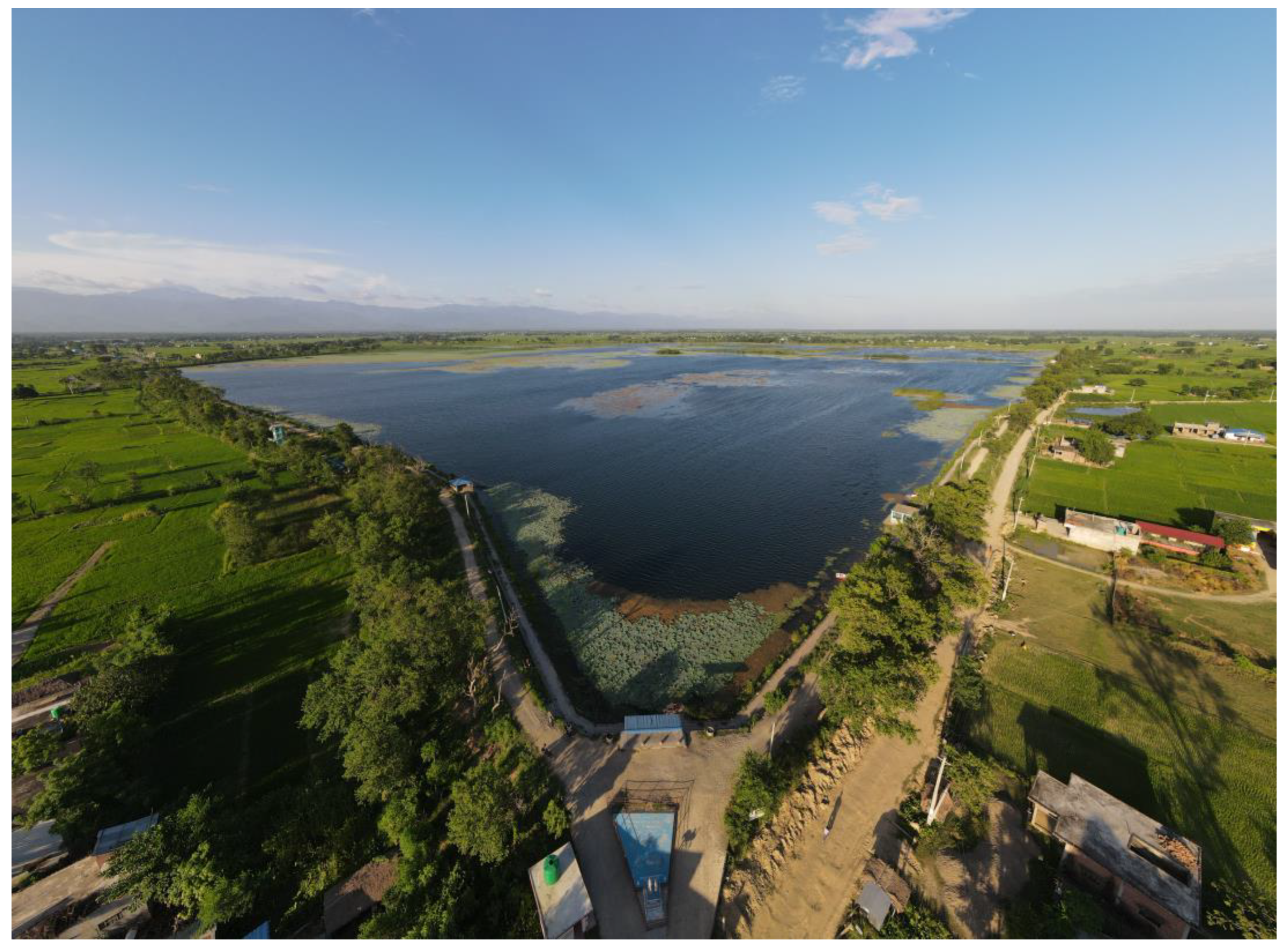 Diversity 15 00593 g001