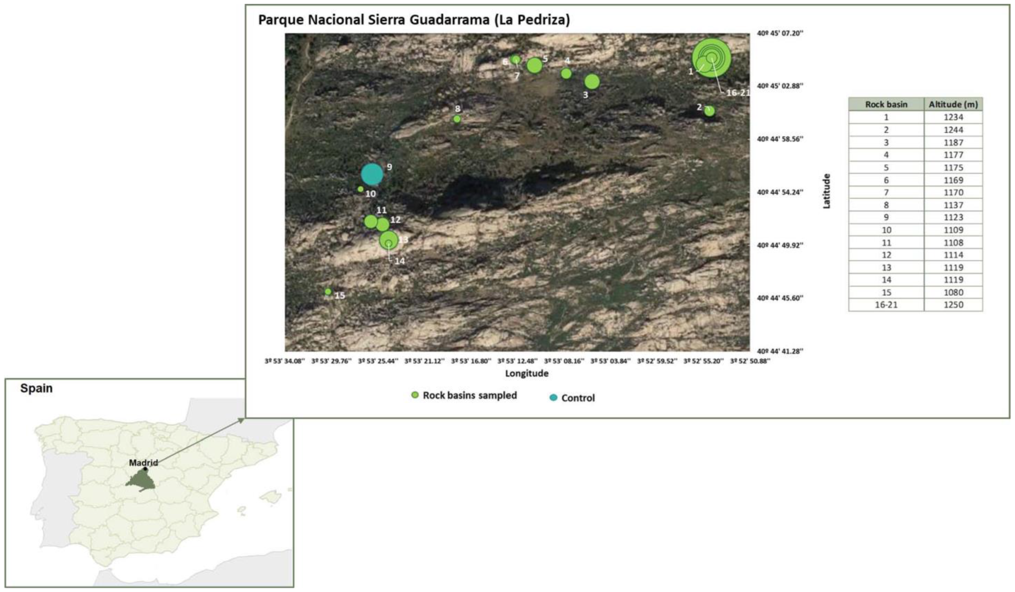 Diversity 15 00594 g001 Diversity 15 00594 g001