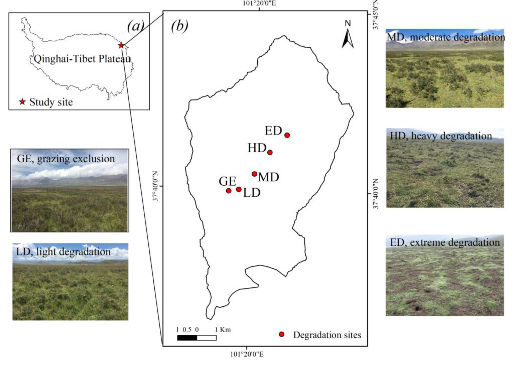 Diversity 15 00596 g001 Diversity 15 00596 g001