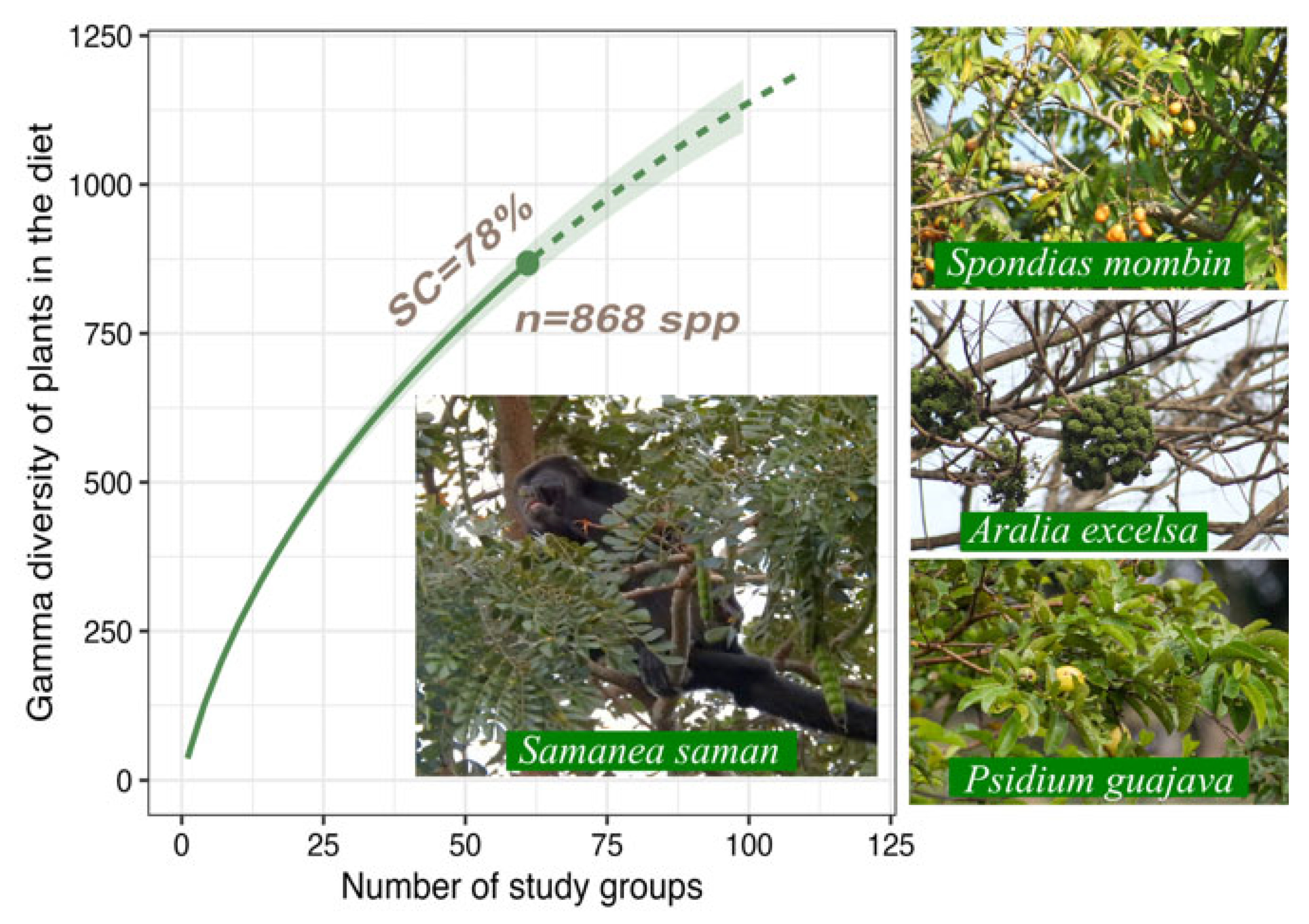 Diversity 15 00602 g003