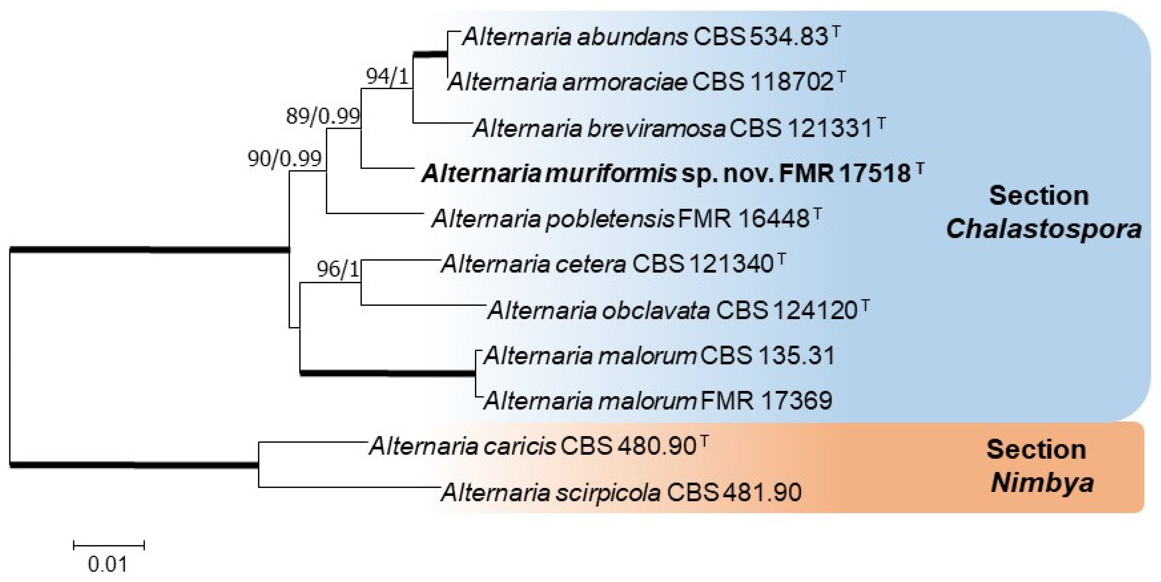 Diversity 15 00606 g001 Diversity 15 00606 g001