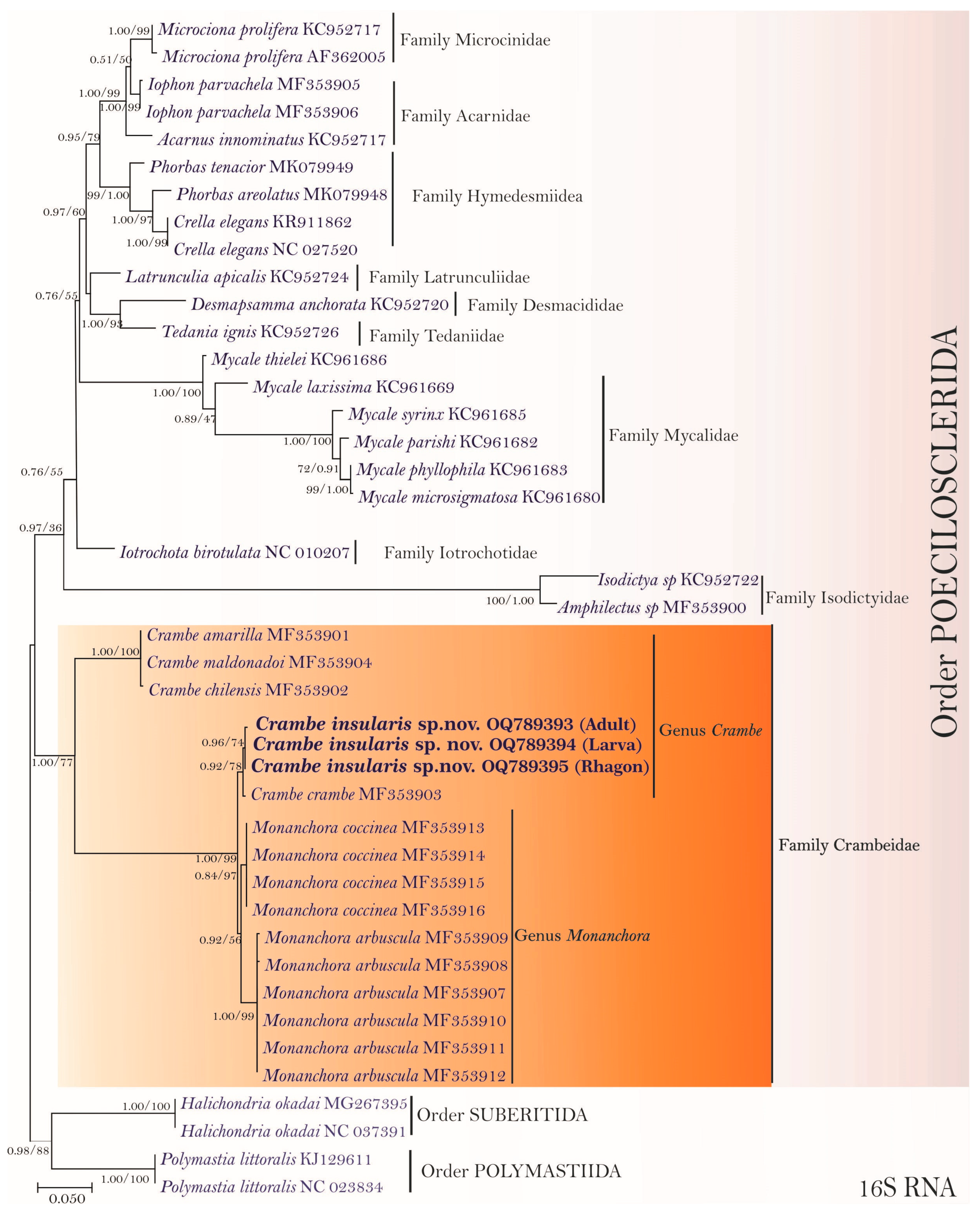 Diversity 15 00608 g006 Diversity 15 00608 g006