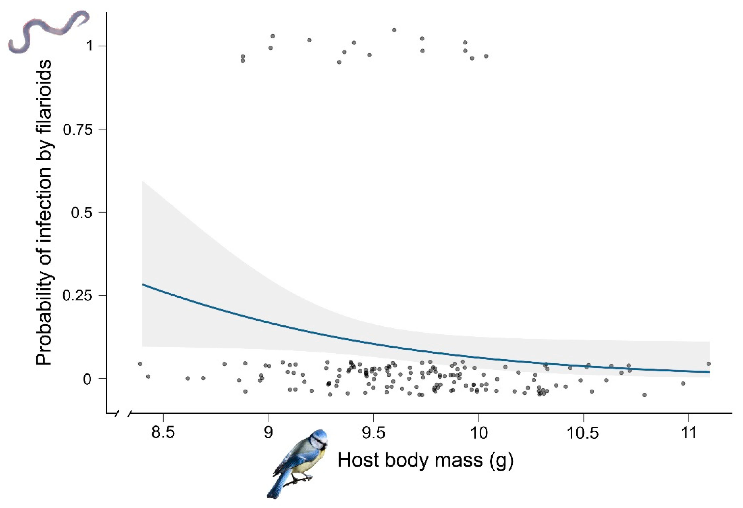 Diversity 15 00609 g001